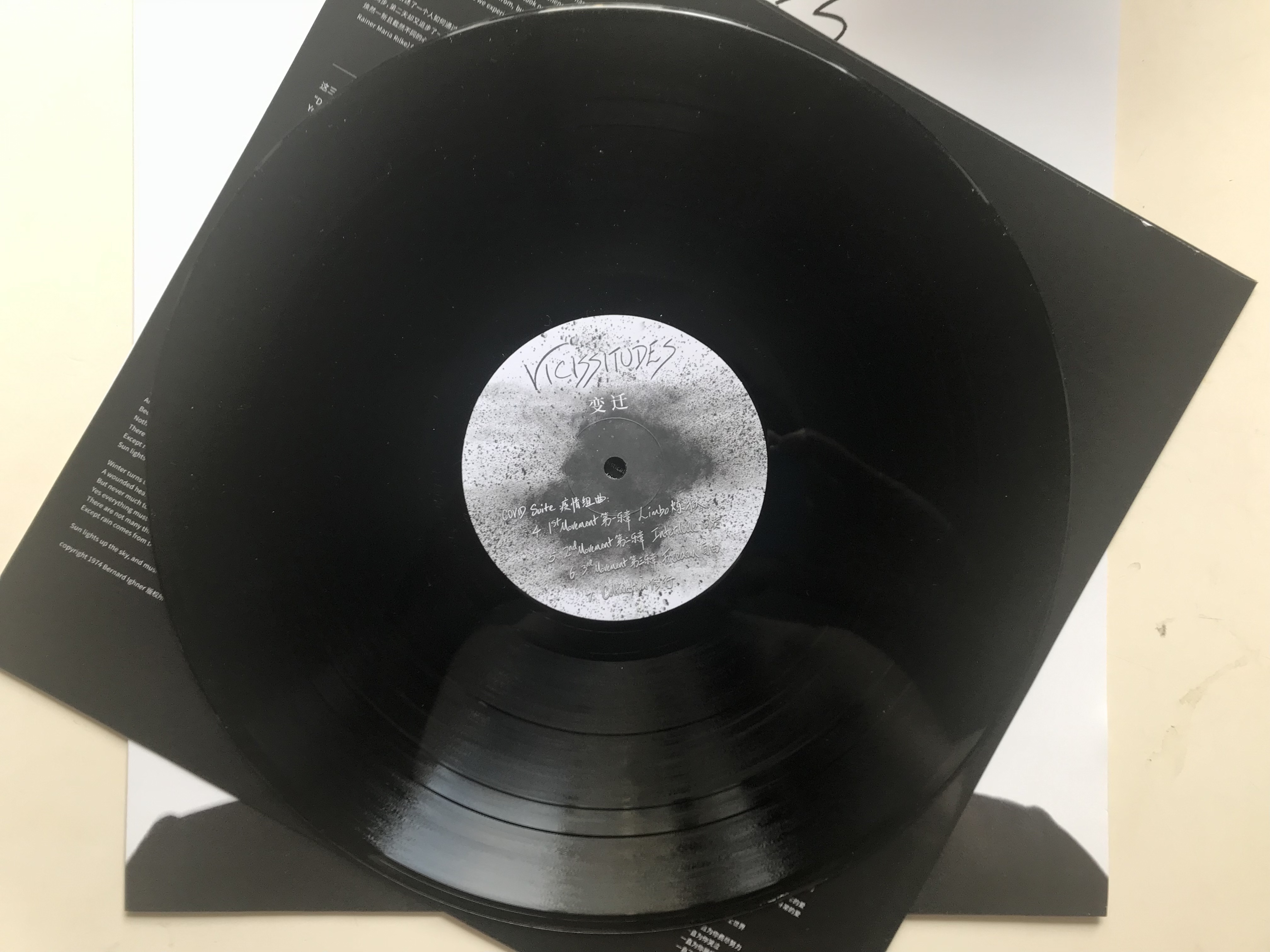 Vicissitudes vinyl LP