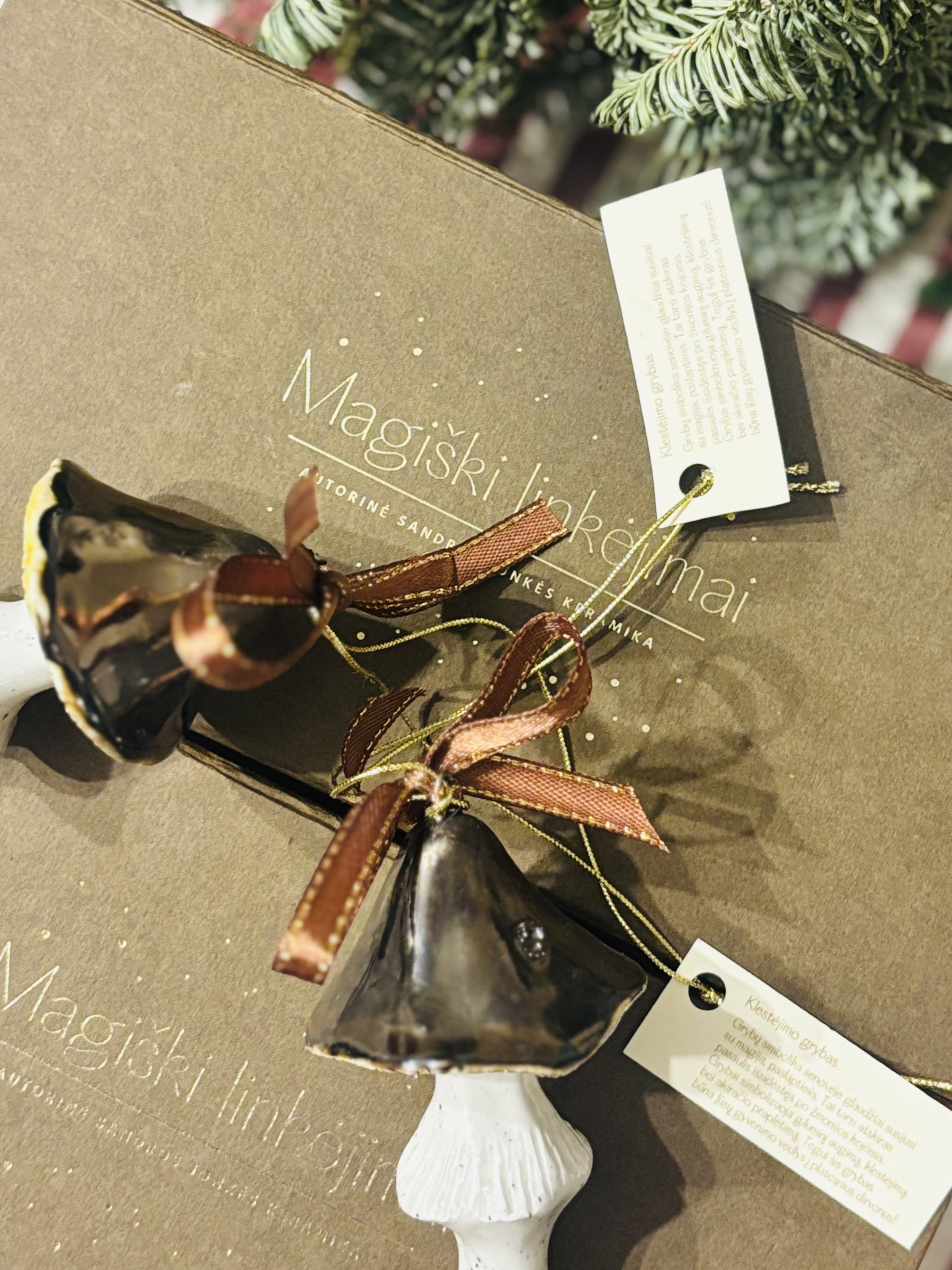 Pakabinama dekoracija "Klestėjimo grybas"