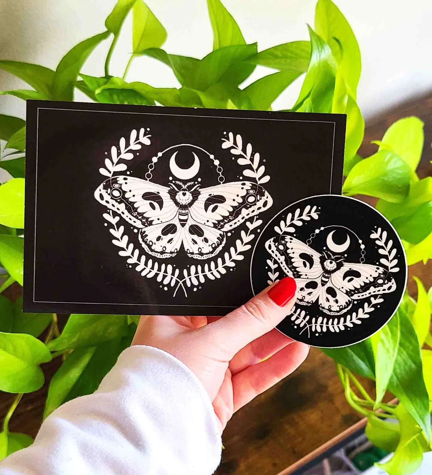 Moth Postcard & Sticker Pack