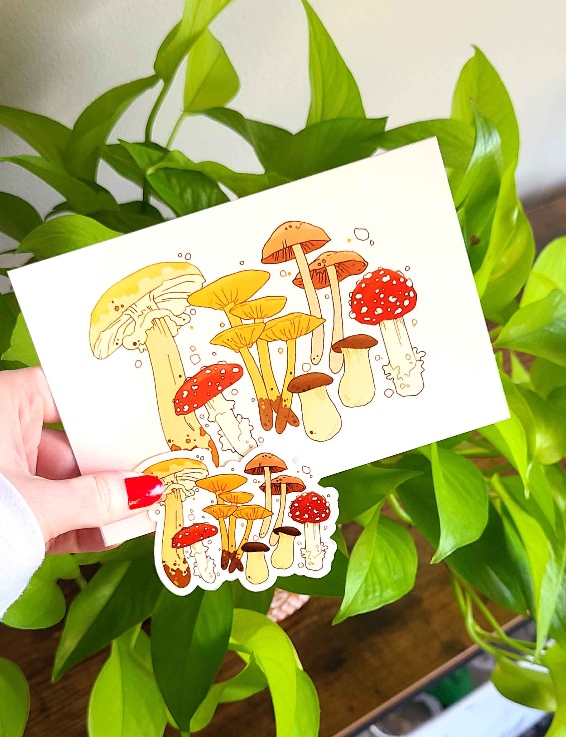 Mushroom Postcard and Sticker Pack