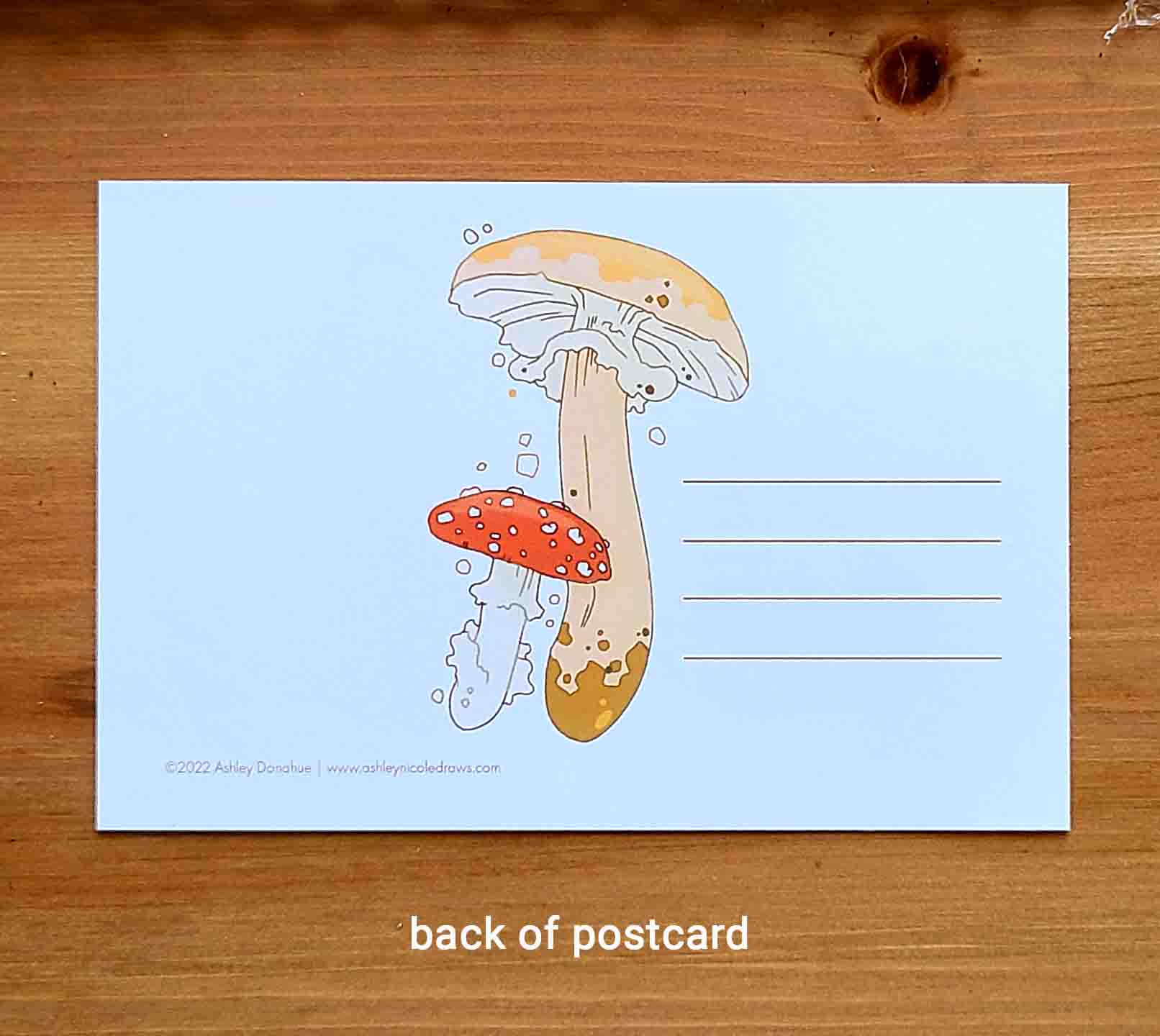 Mushroom Postcard and Sticker Pack