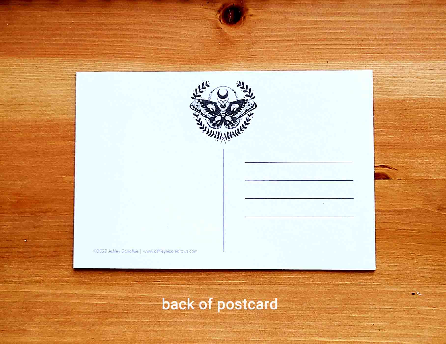 Moth Postcard & Sticker Pack