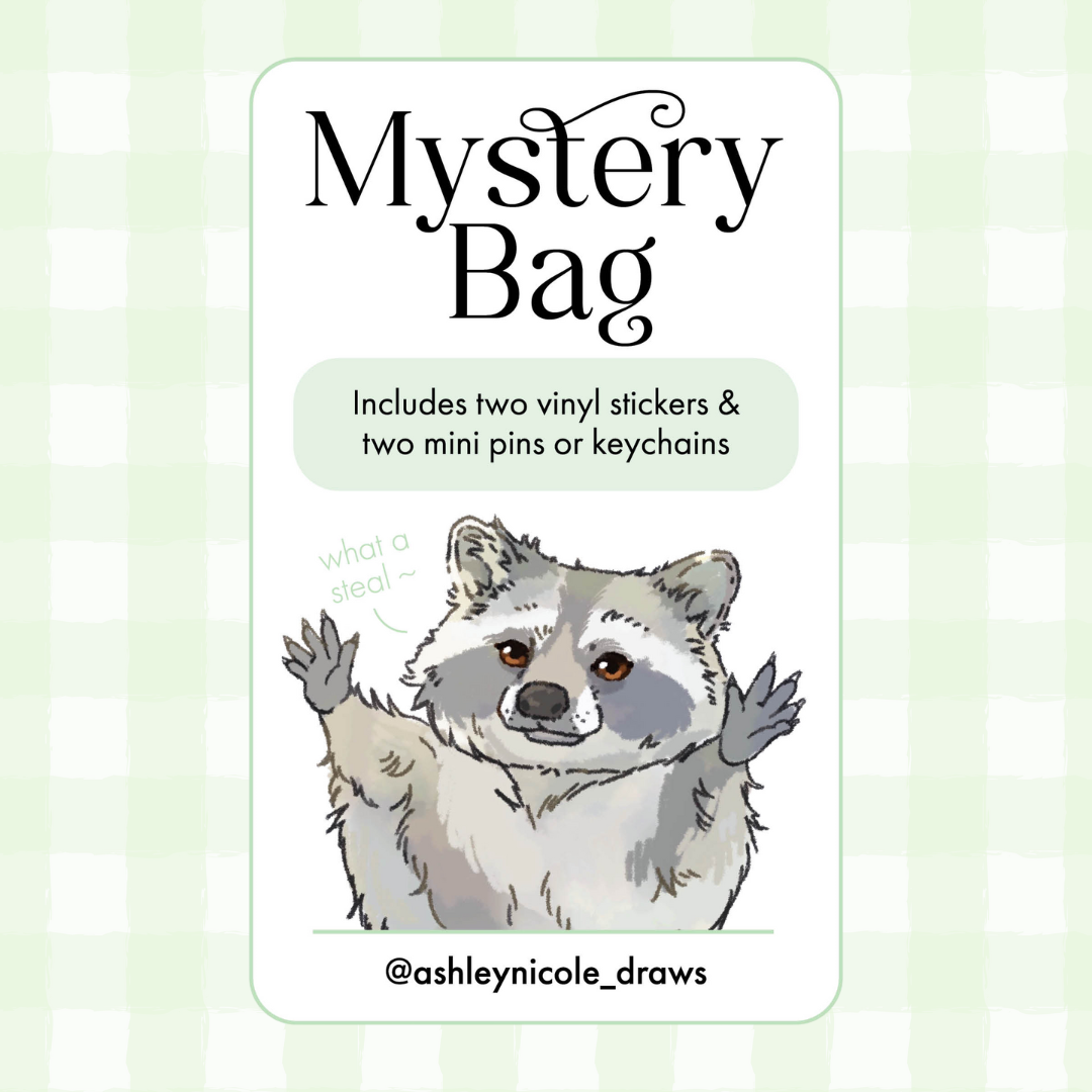 Mystery Bag
