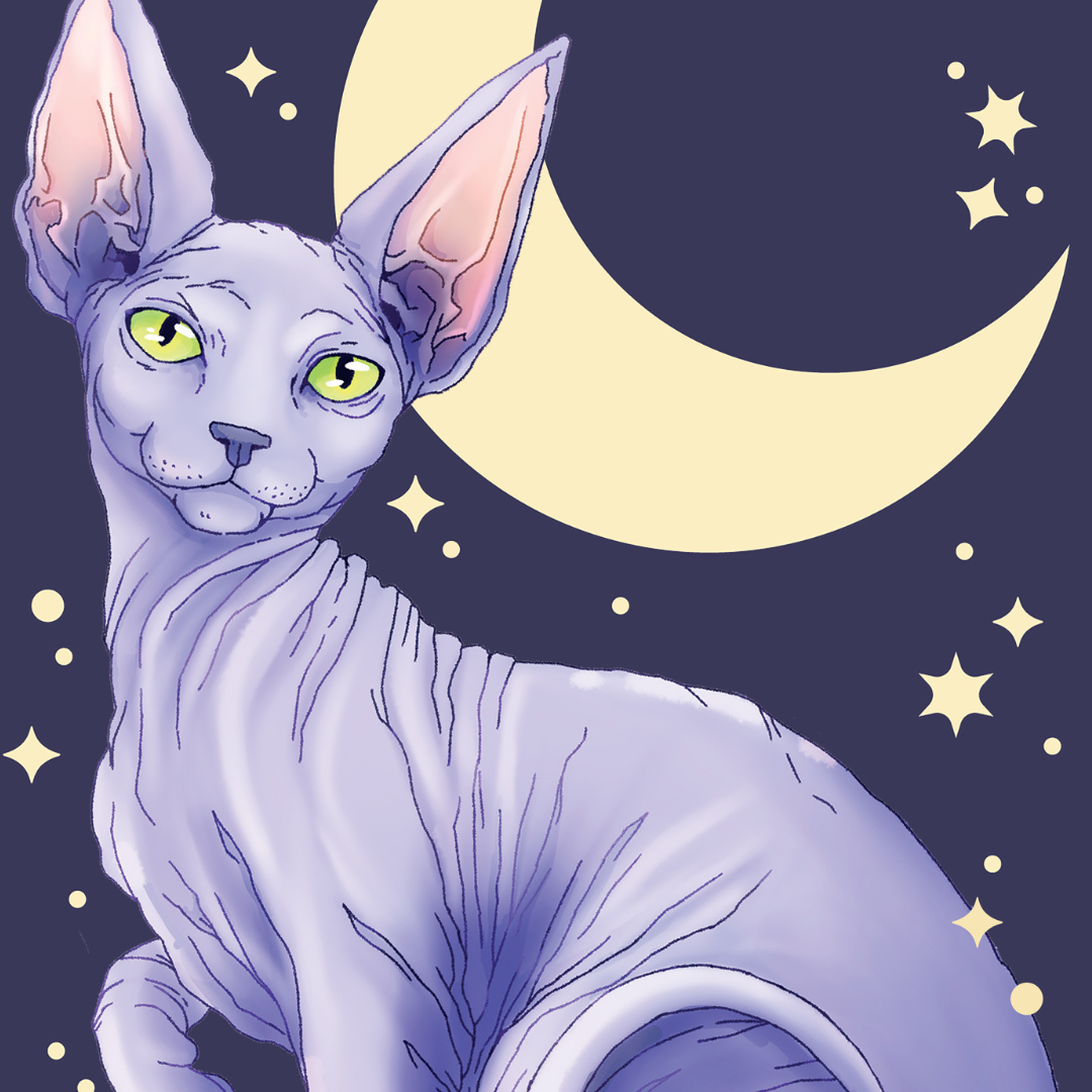 Sphynx Glitter Sticker
