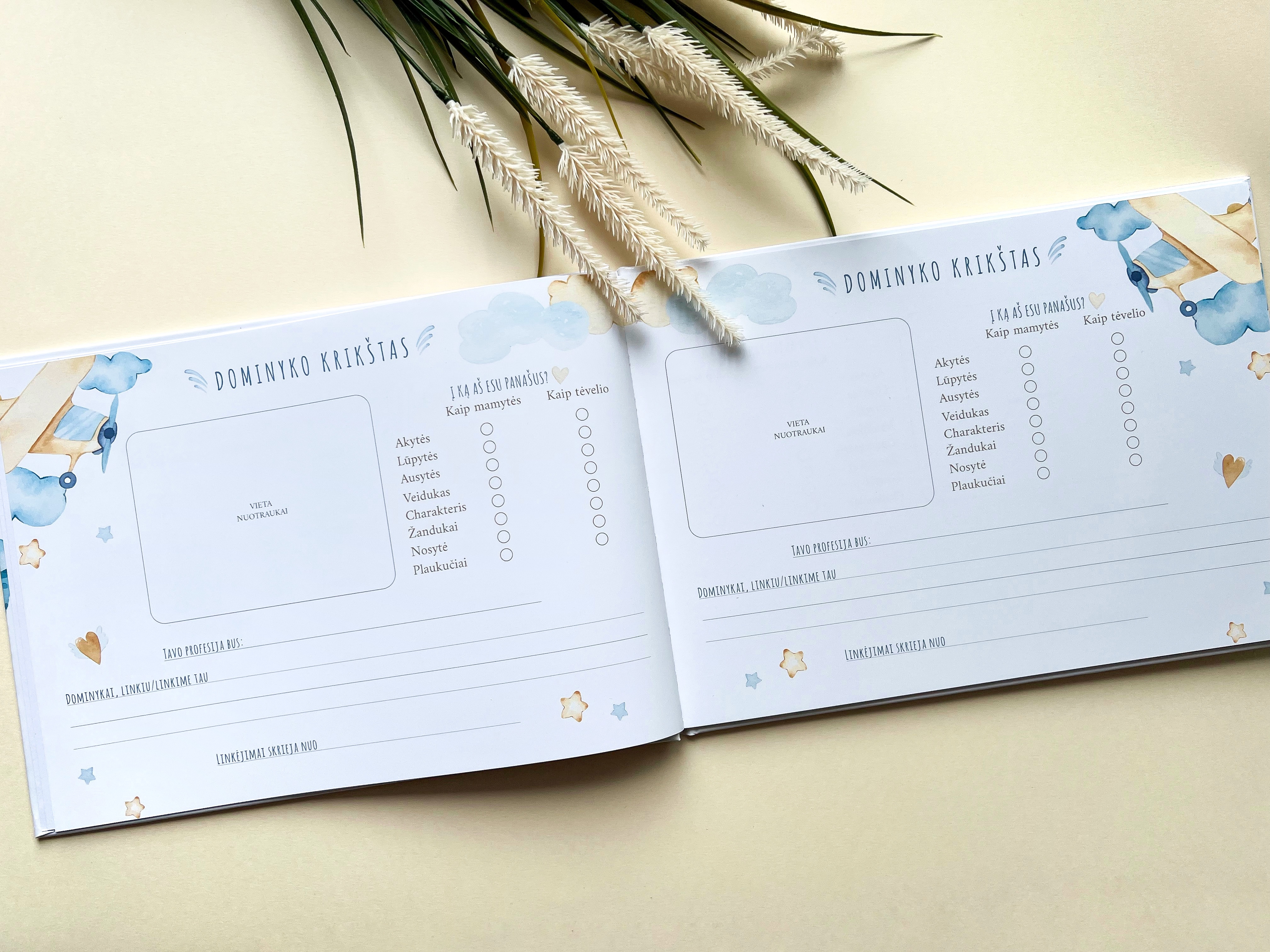 Palinkėjimų knyga "LĖKTUVĖLIAI" | 28x20cm