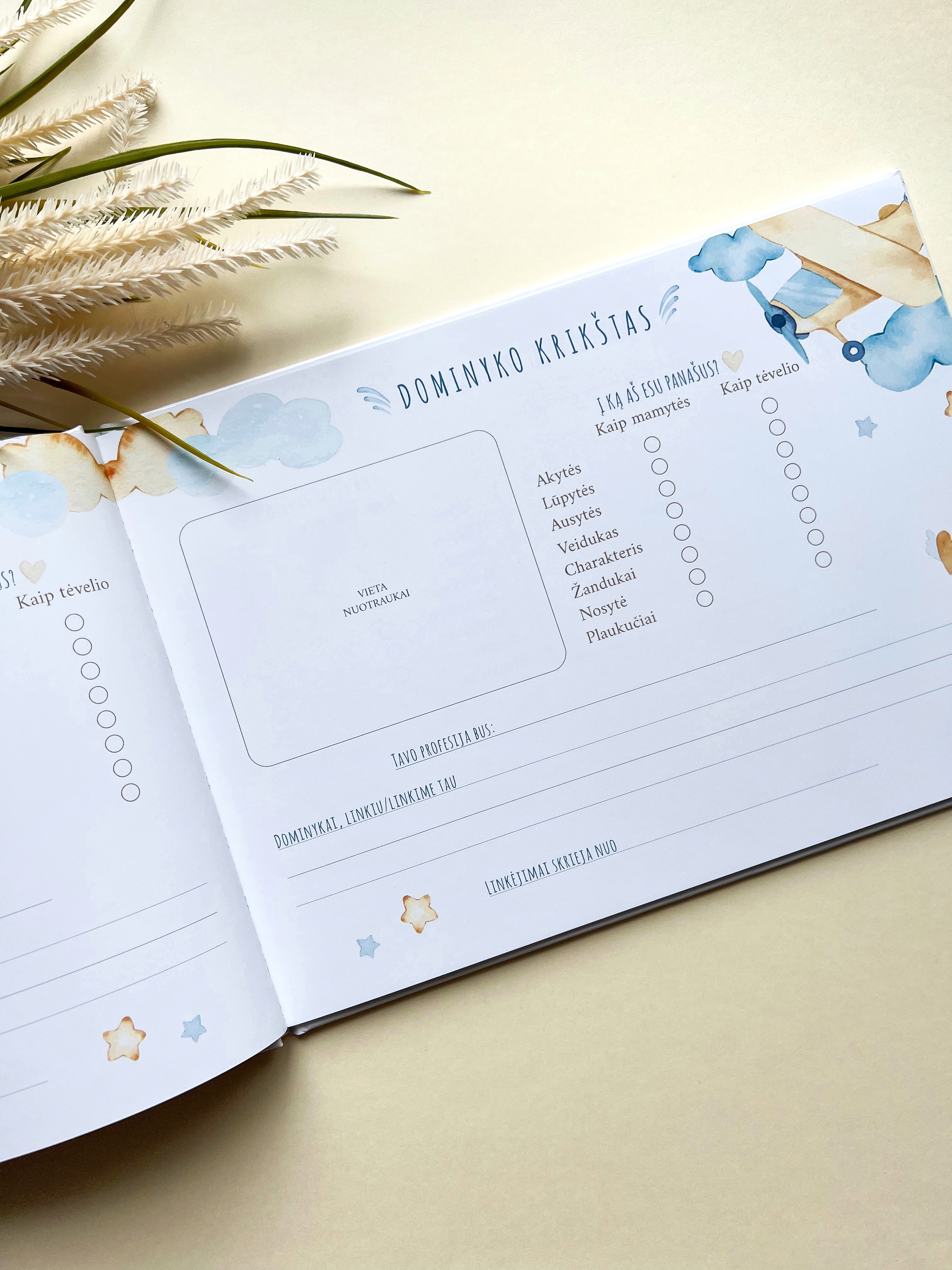 Palinkėjimų knyga "LĖKTUVĖLIAI" | 28x20cm