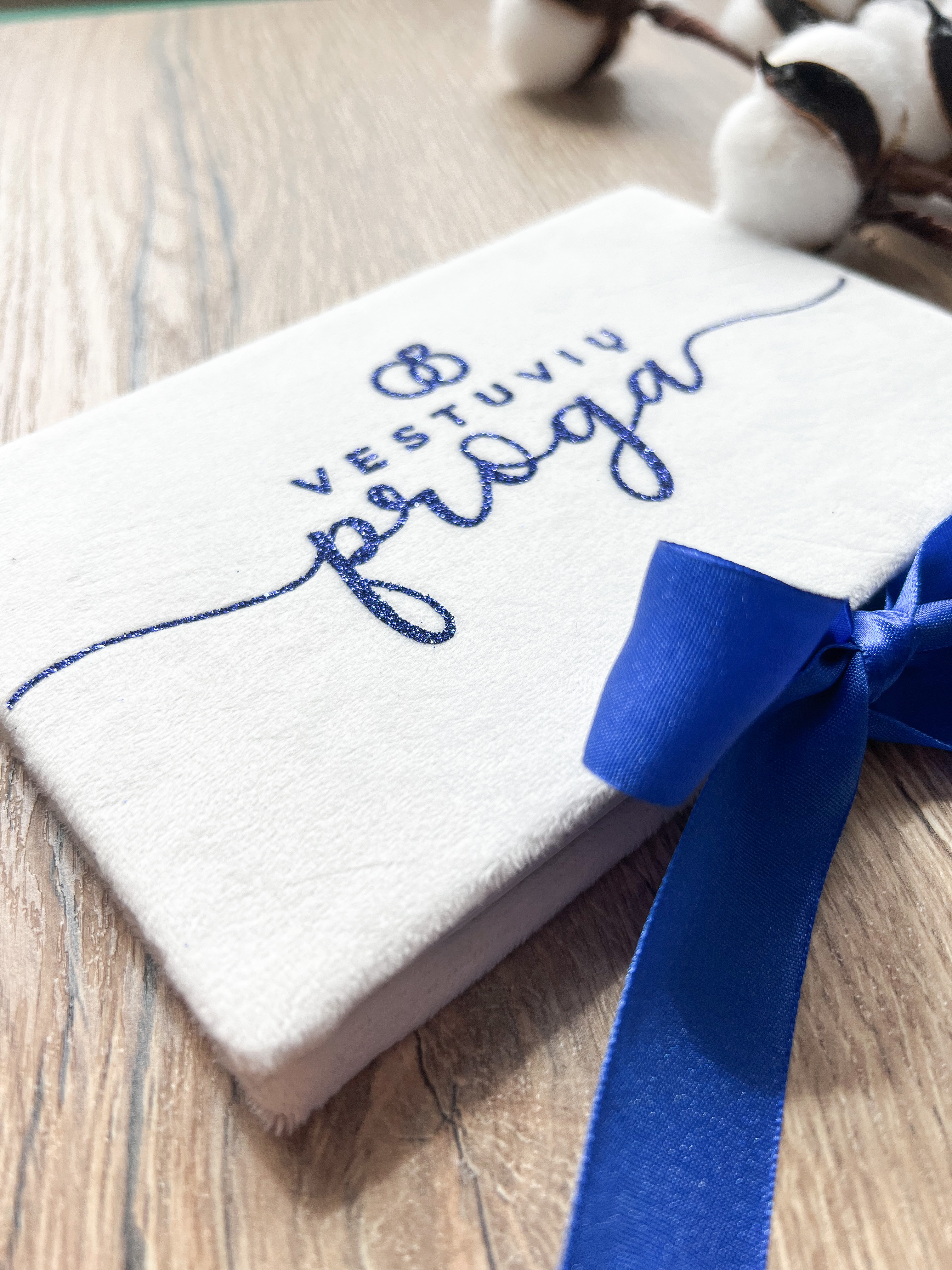 Vokelis "VESTUVIŲ PROGA"