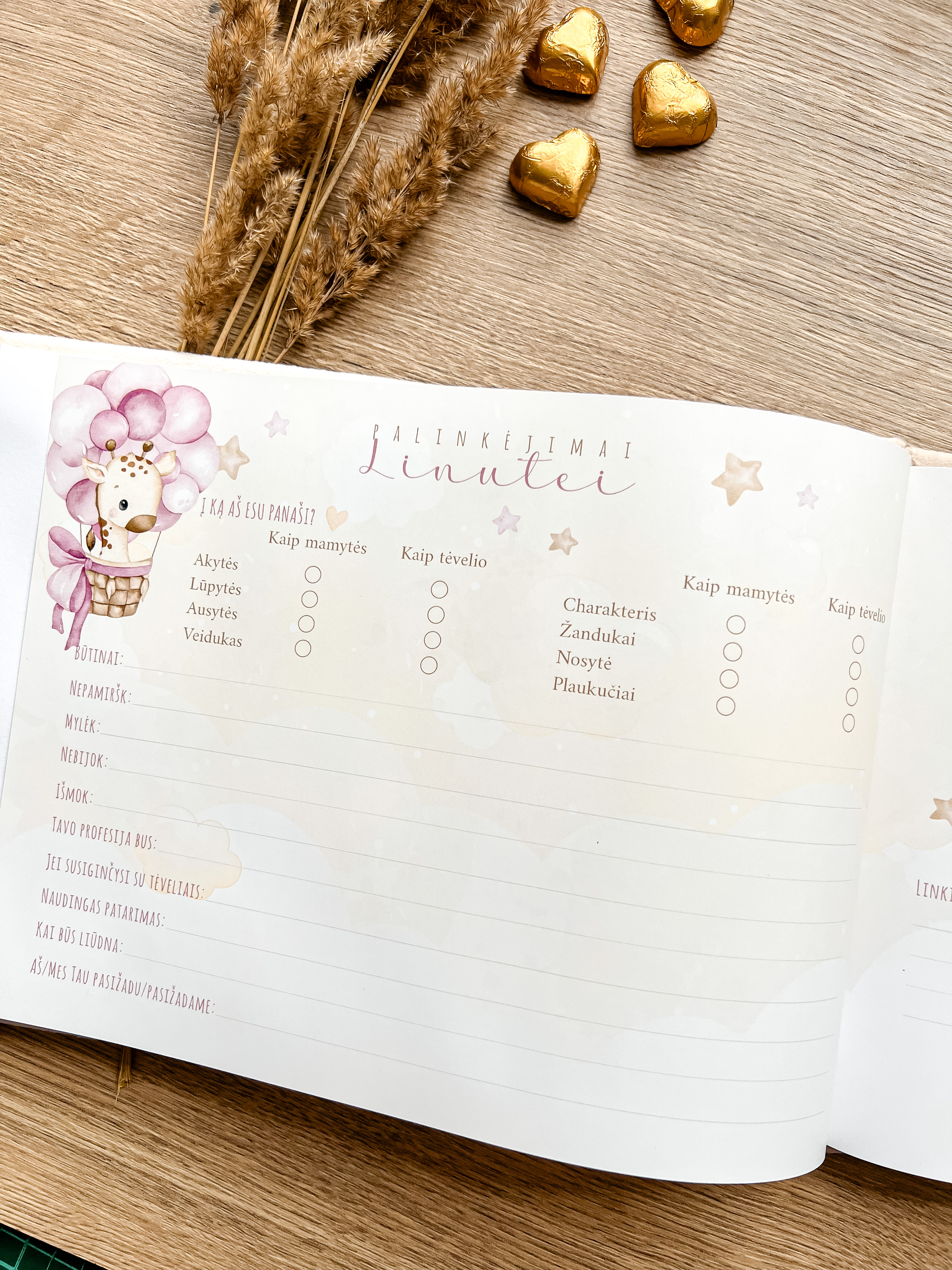 Palinkėjimų knyga "MAŽOJI ŽIRAFA" | 28x20cm