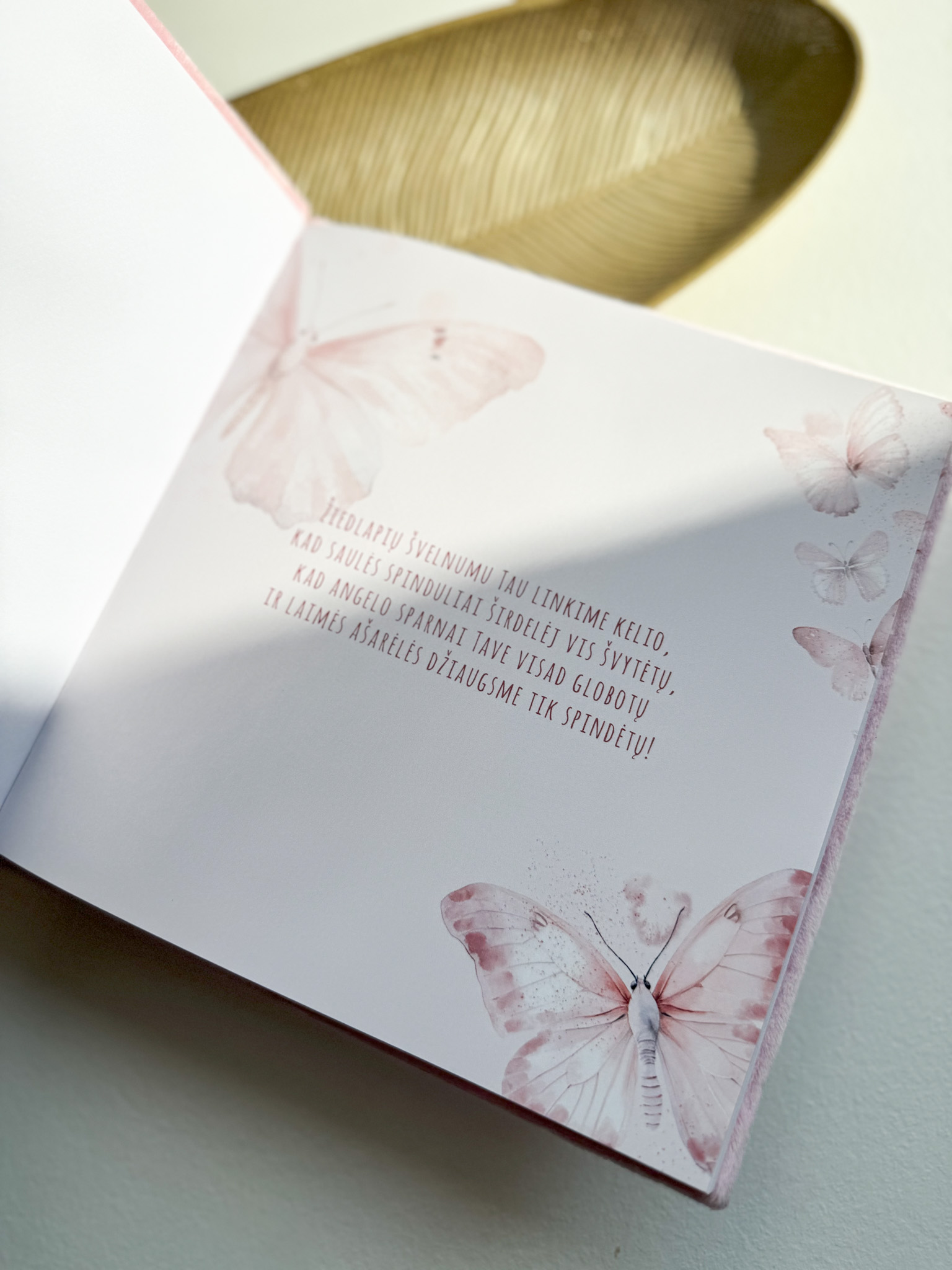 Palinkėjimų knyga "DRUGELIAI" | 20x20cm