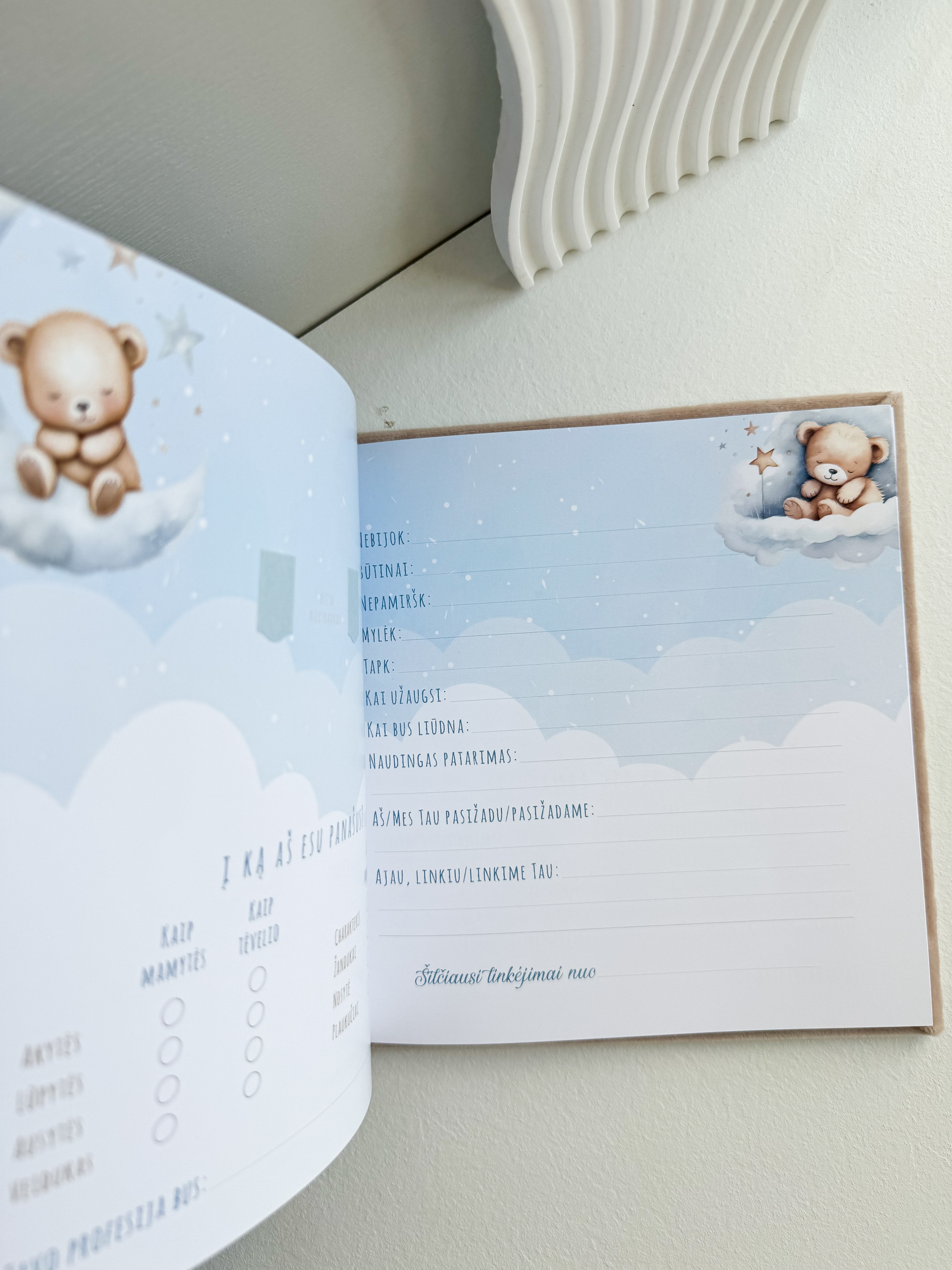 Palinkėjimų knyga "MEŠKUTIS TEDIS" | 20x20cm
