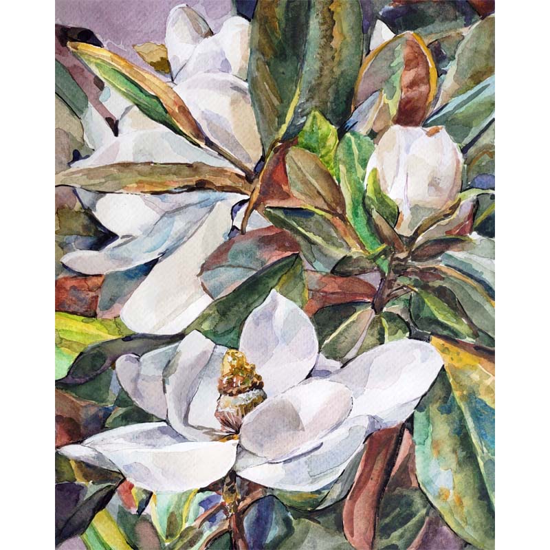 "Magnolia 2" Original Watercolor Painting
