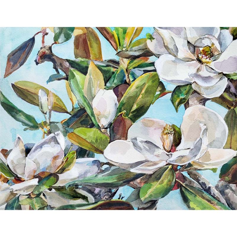 "Magnolia 4" Horizontal Print