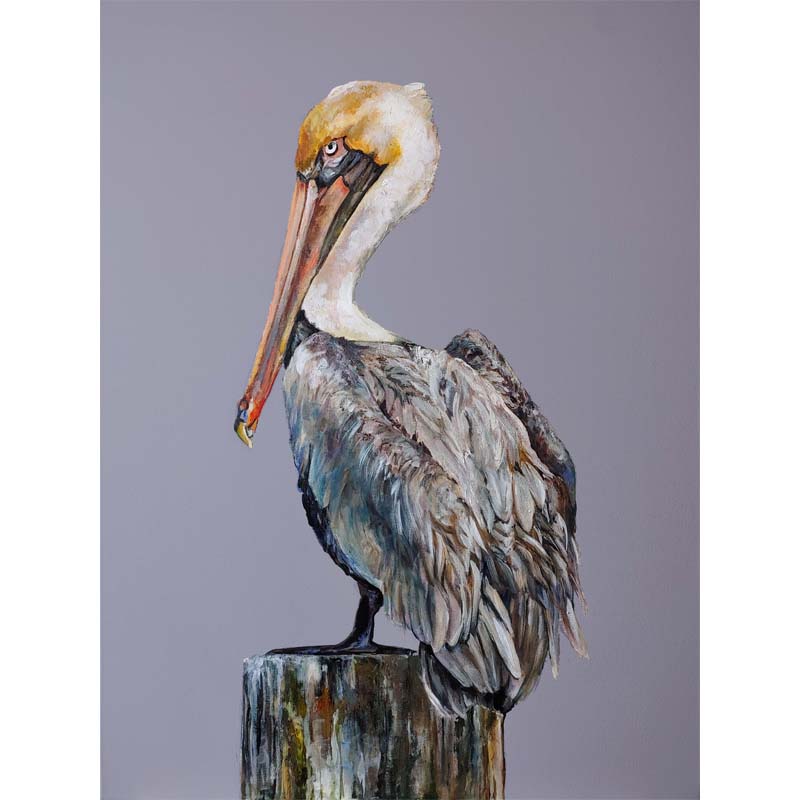 "Landmark Pelican" Vertical Print