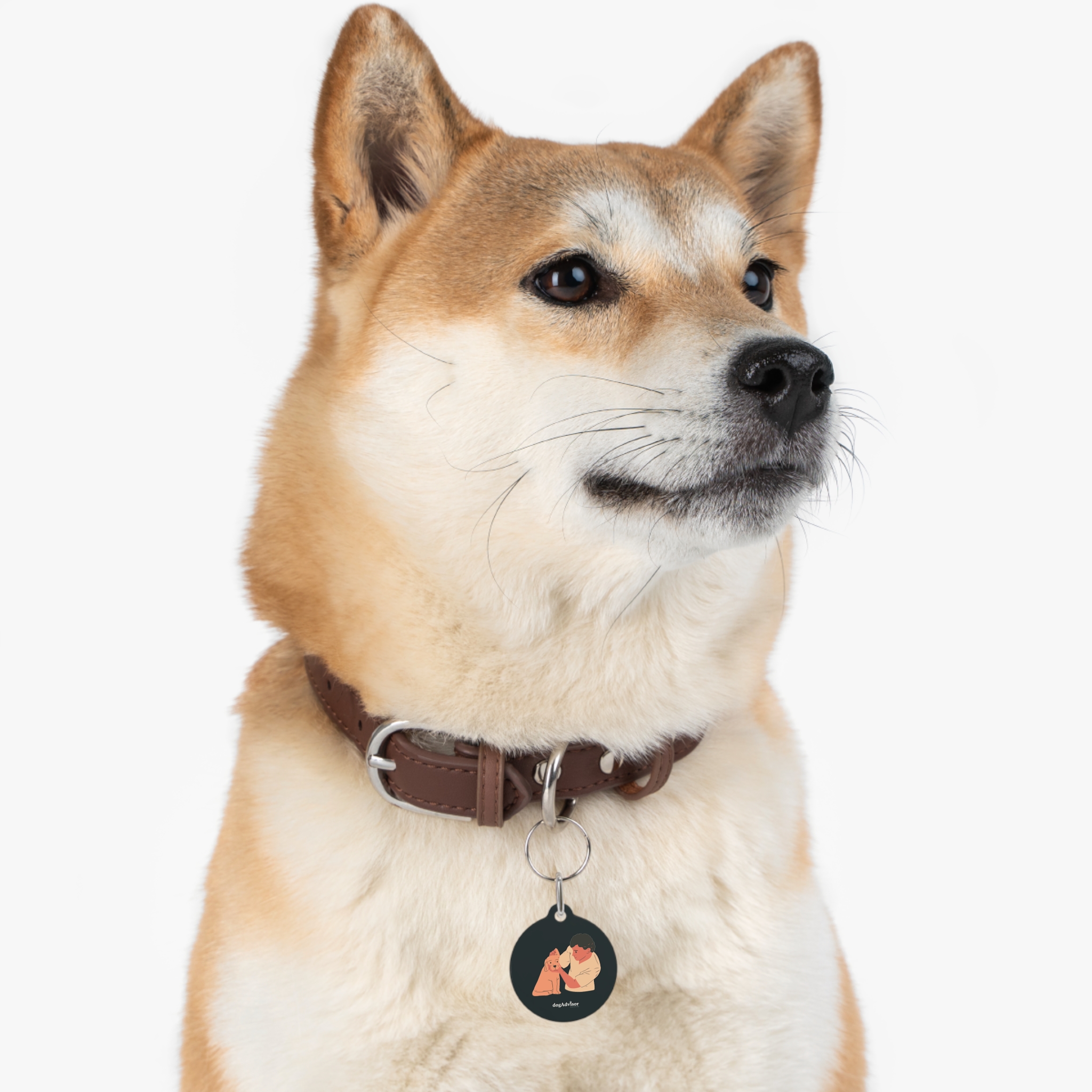 Dog Tag (with Lost Protection)