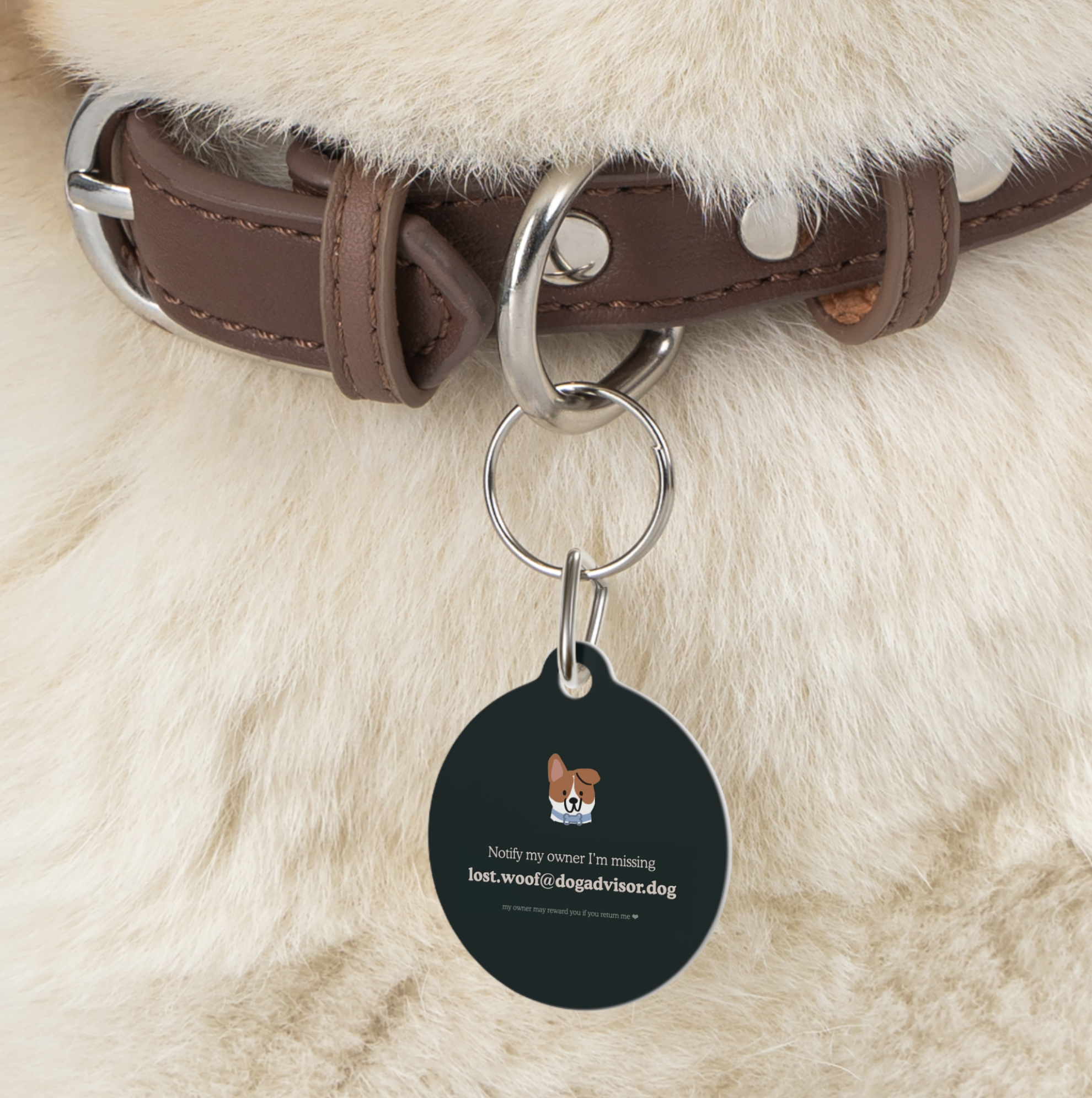 Dog Tag (with Lost Protection)