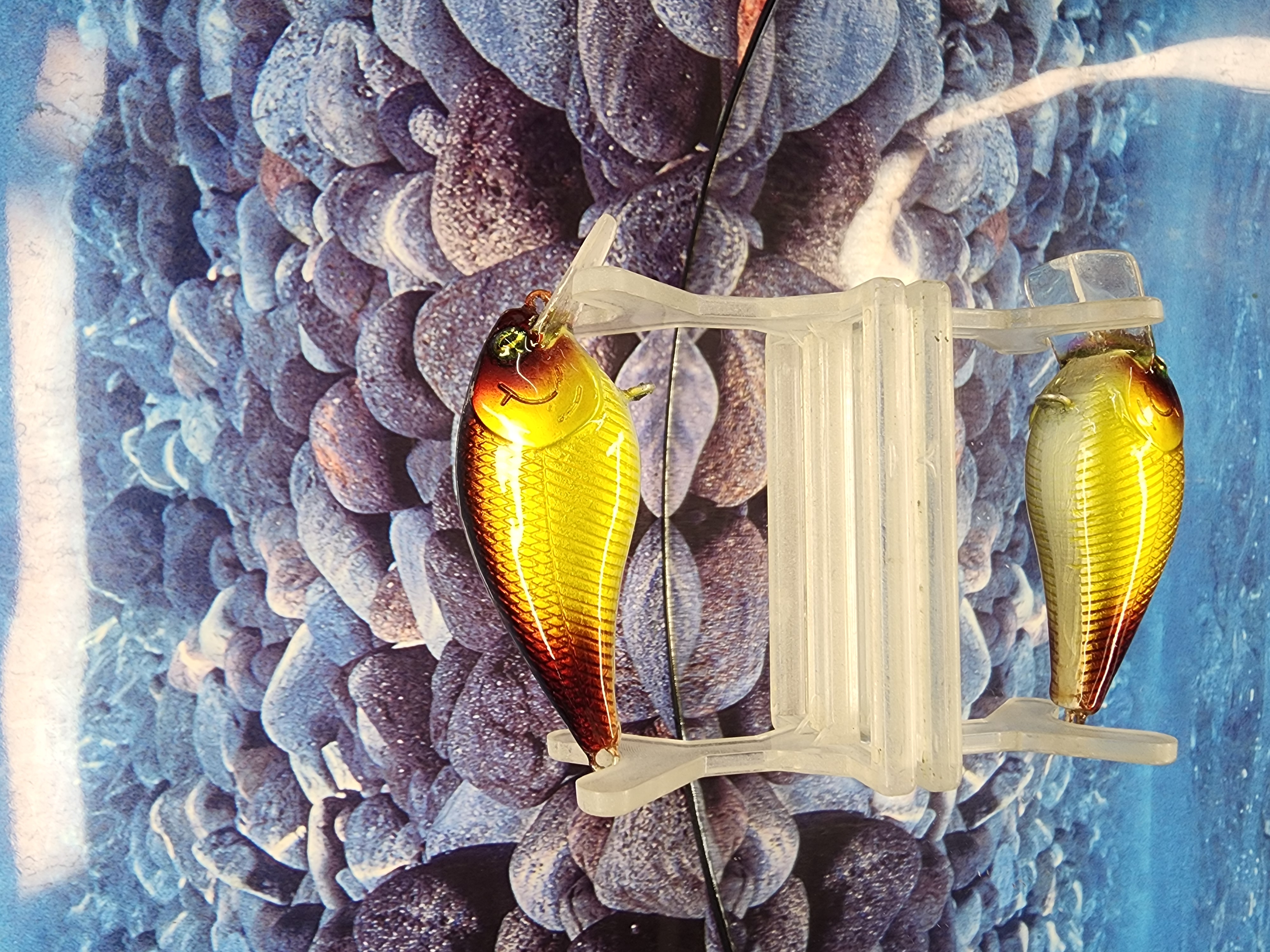 Liquid Sentence 1.25 Crankbait