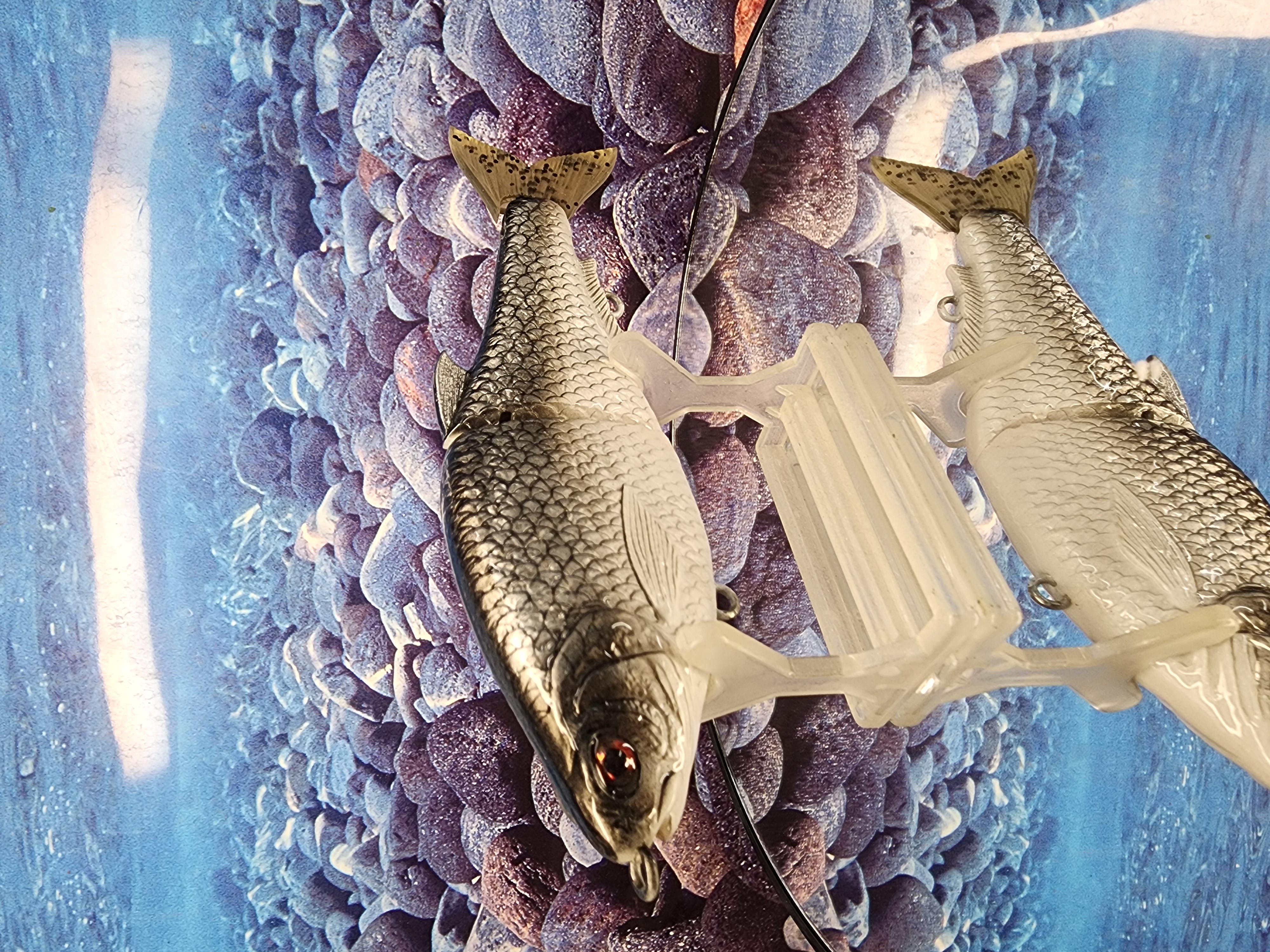 IRON GIZZARD : VANDAL GLIDE