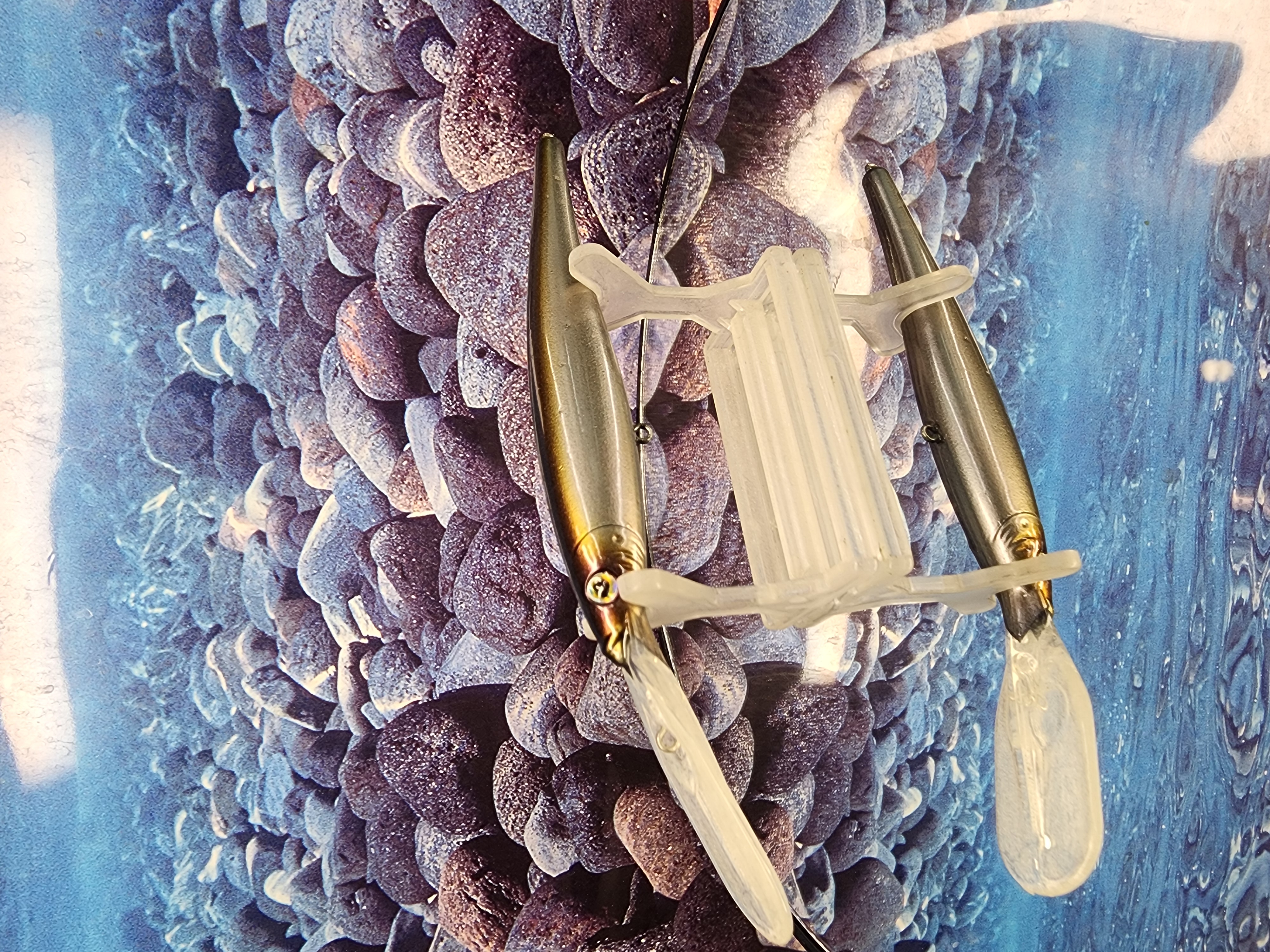 Dark-Label Specter Flicker Minnow