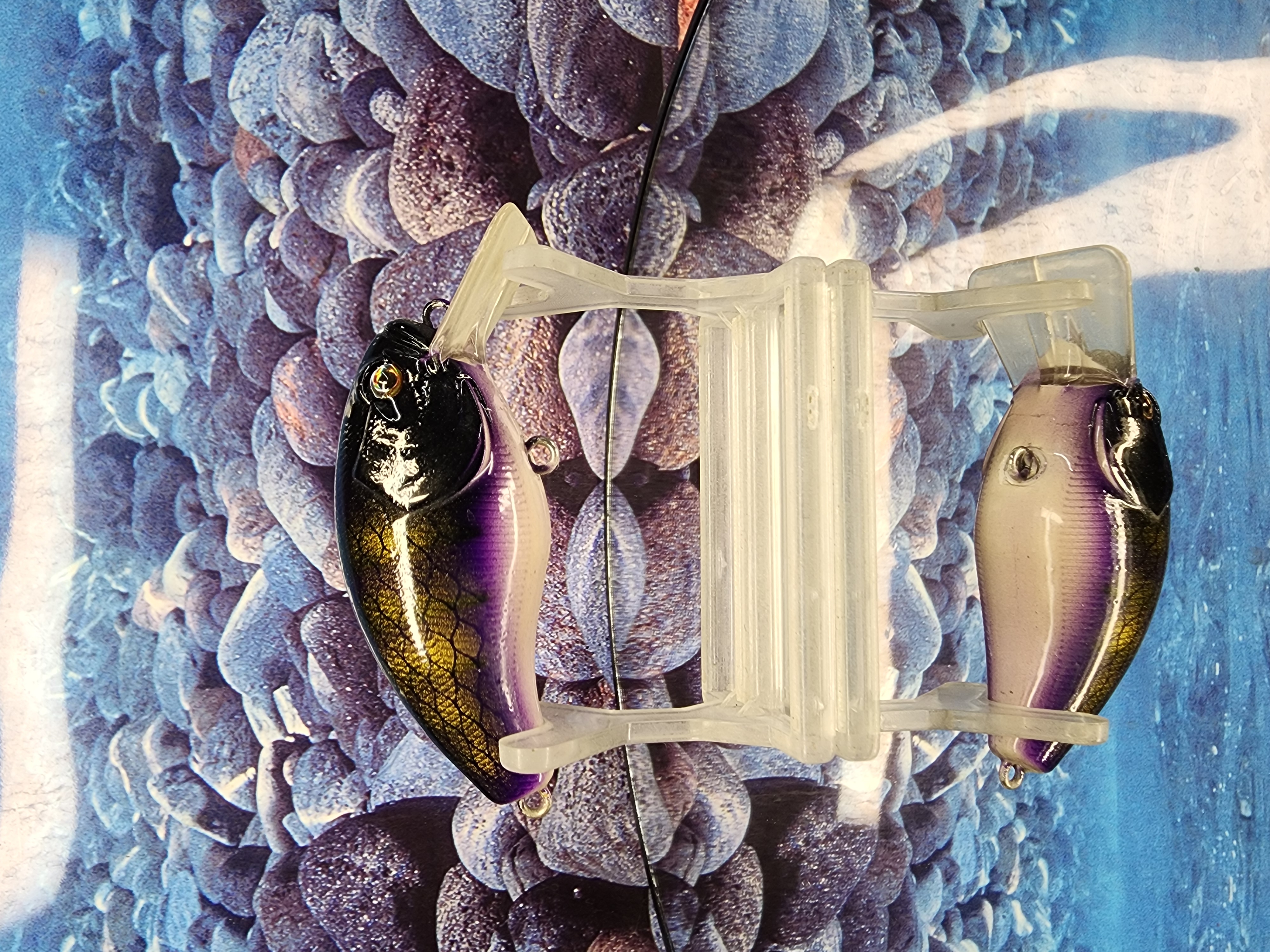 Midnight Special 2.5 Crankbait