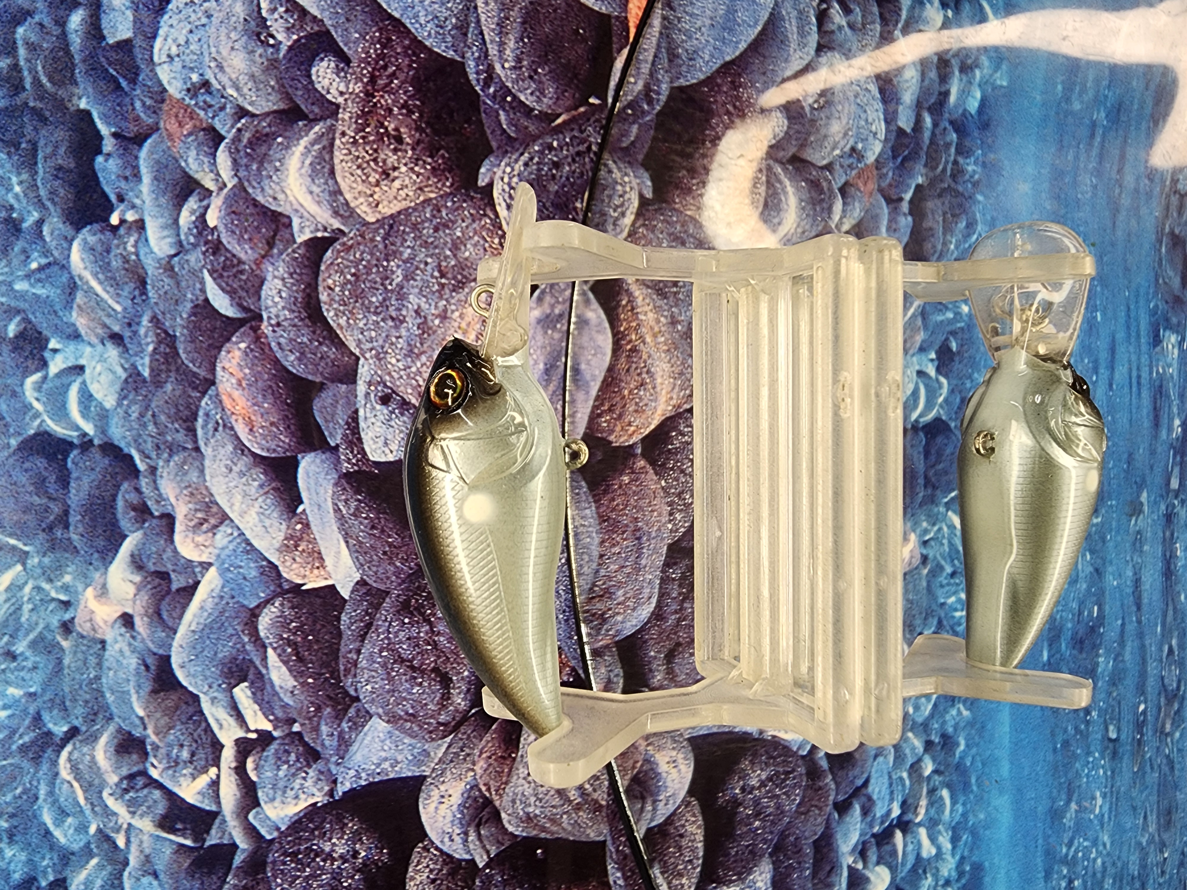 Silent Shade Rambling Wart