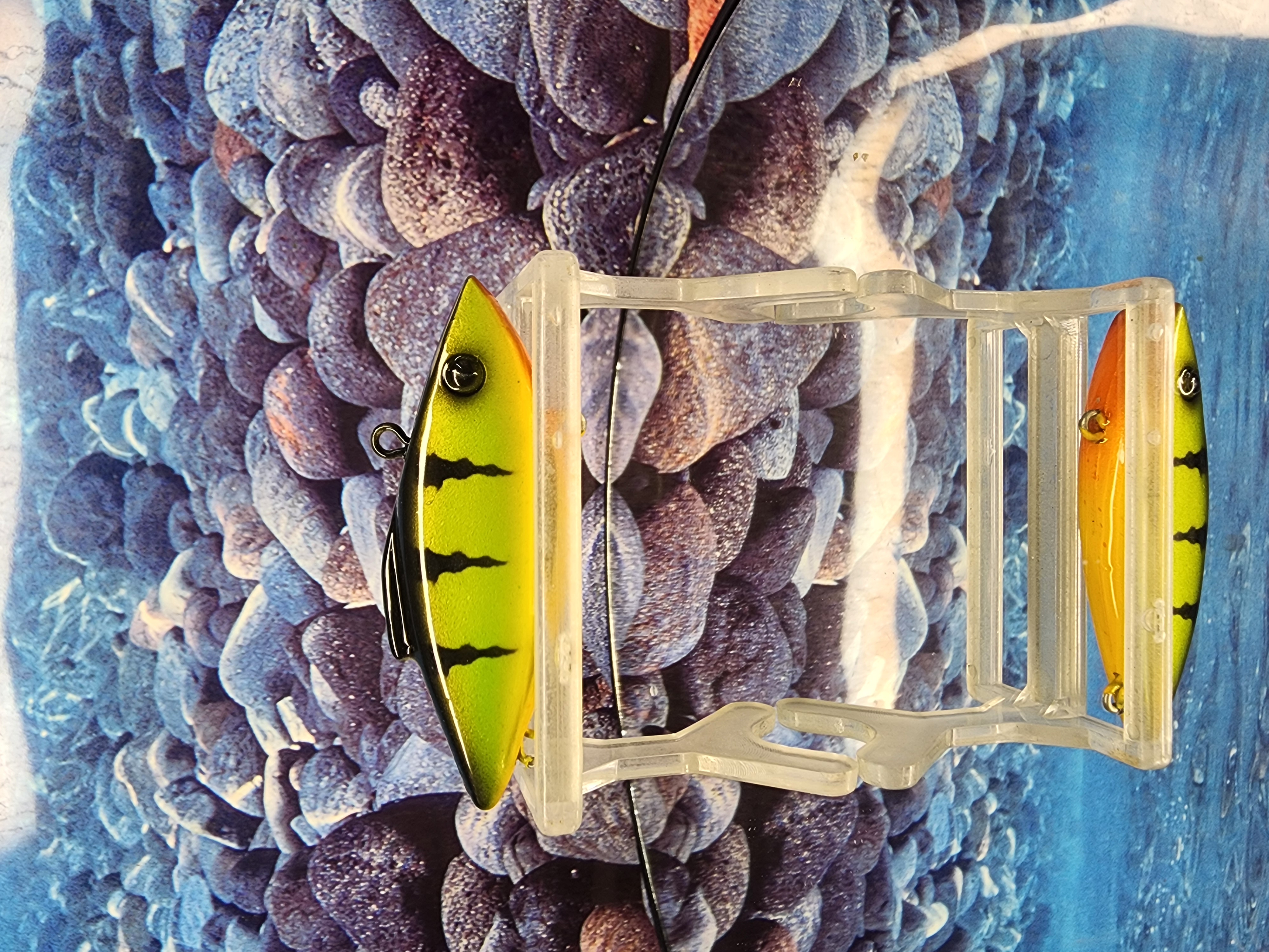 IRON LUNG PERCH RAT-L-TRAP