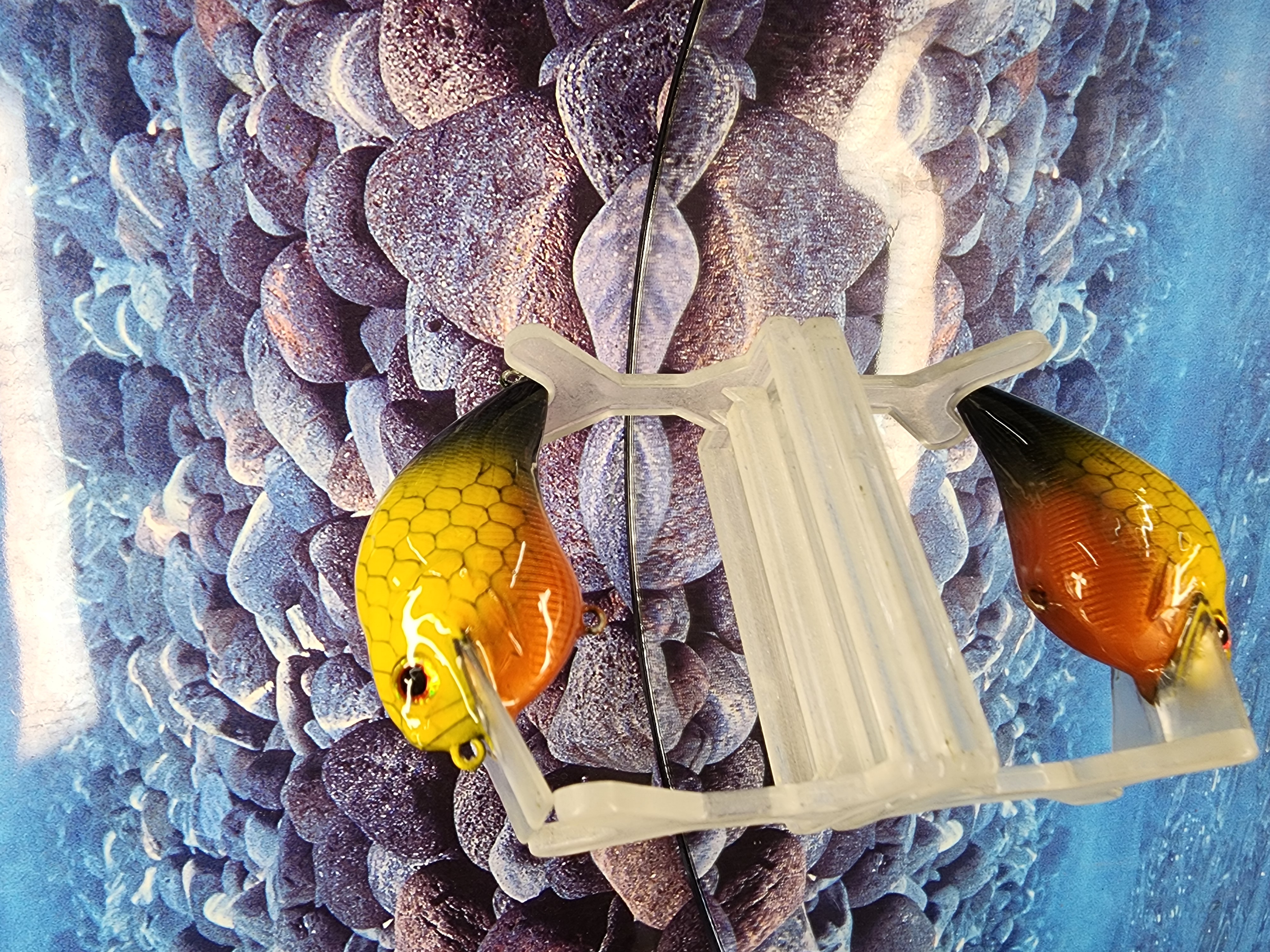 Scaled Citrus Shad S Crank