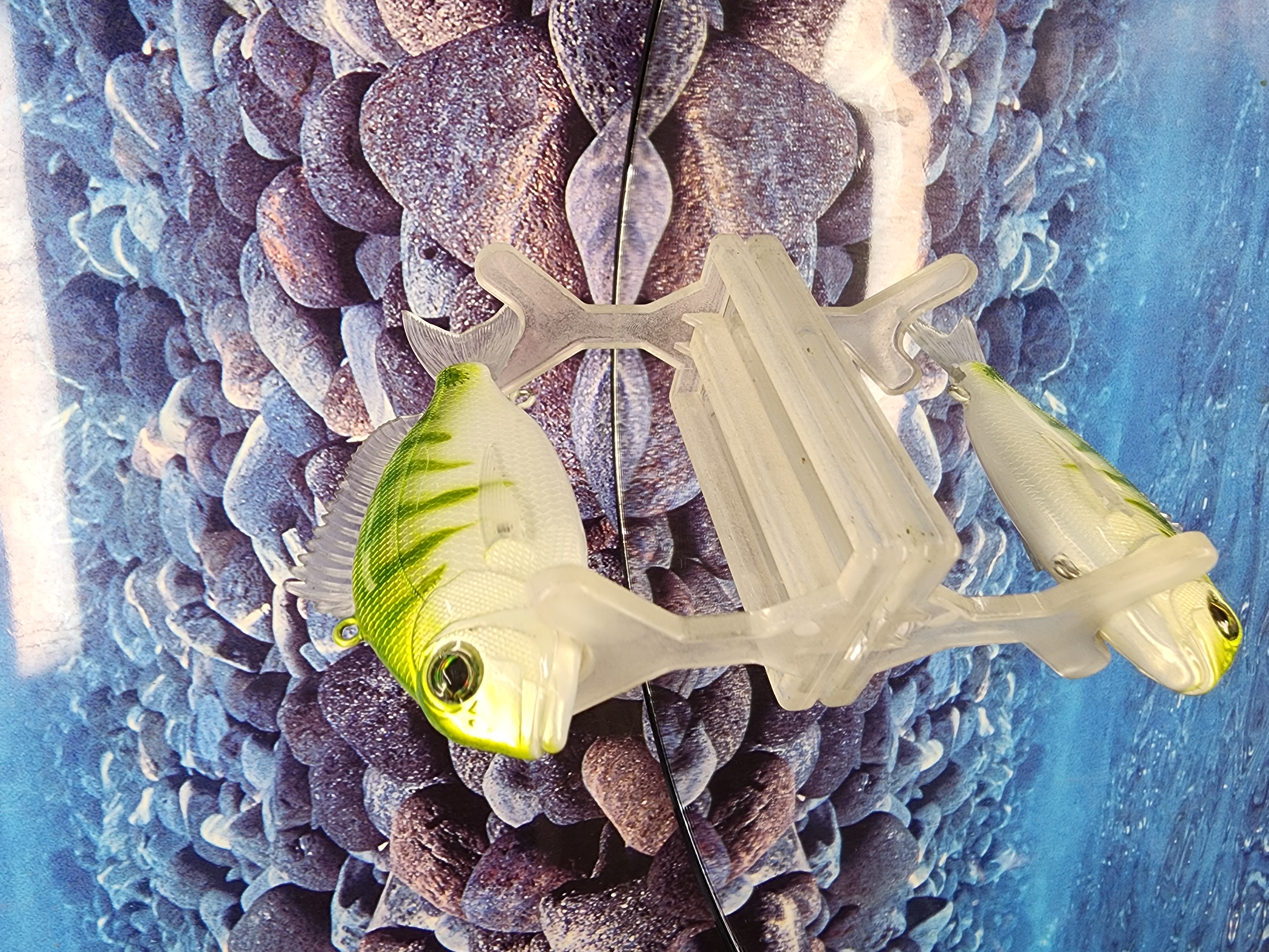 Stray Bullet Lipless