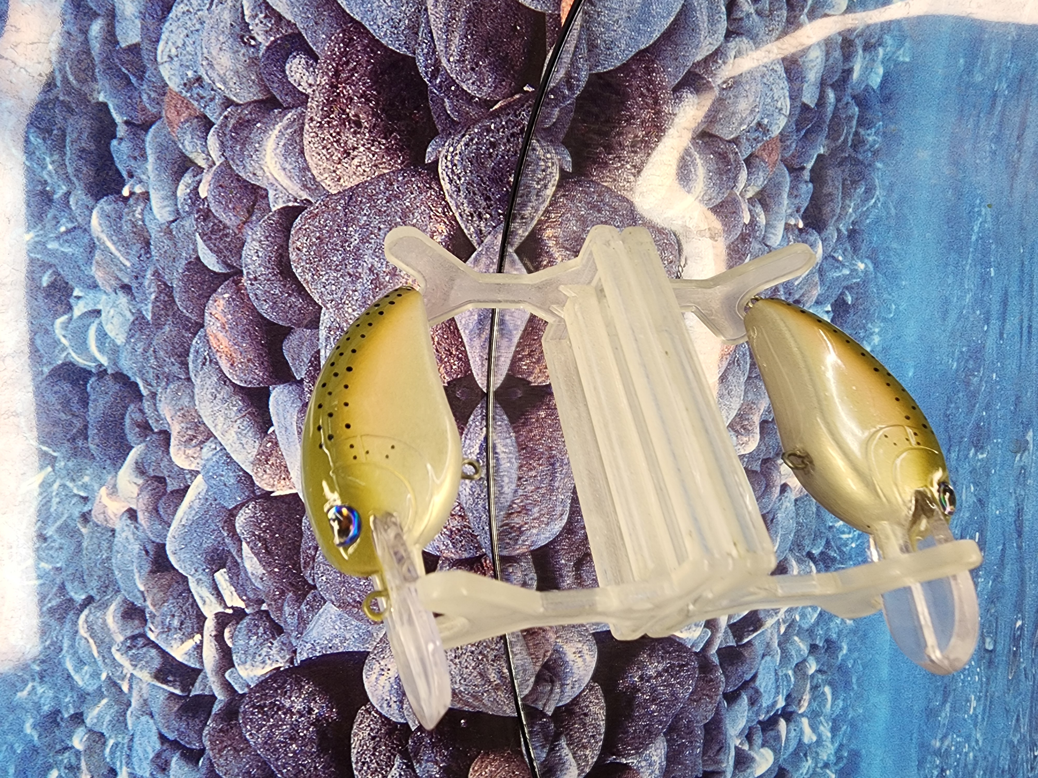 Rainbow Lil Jon Crankbait 