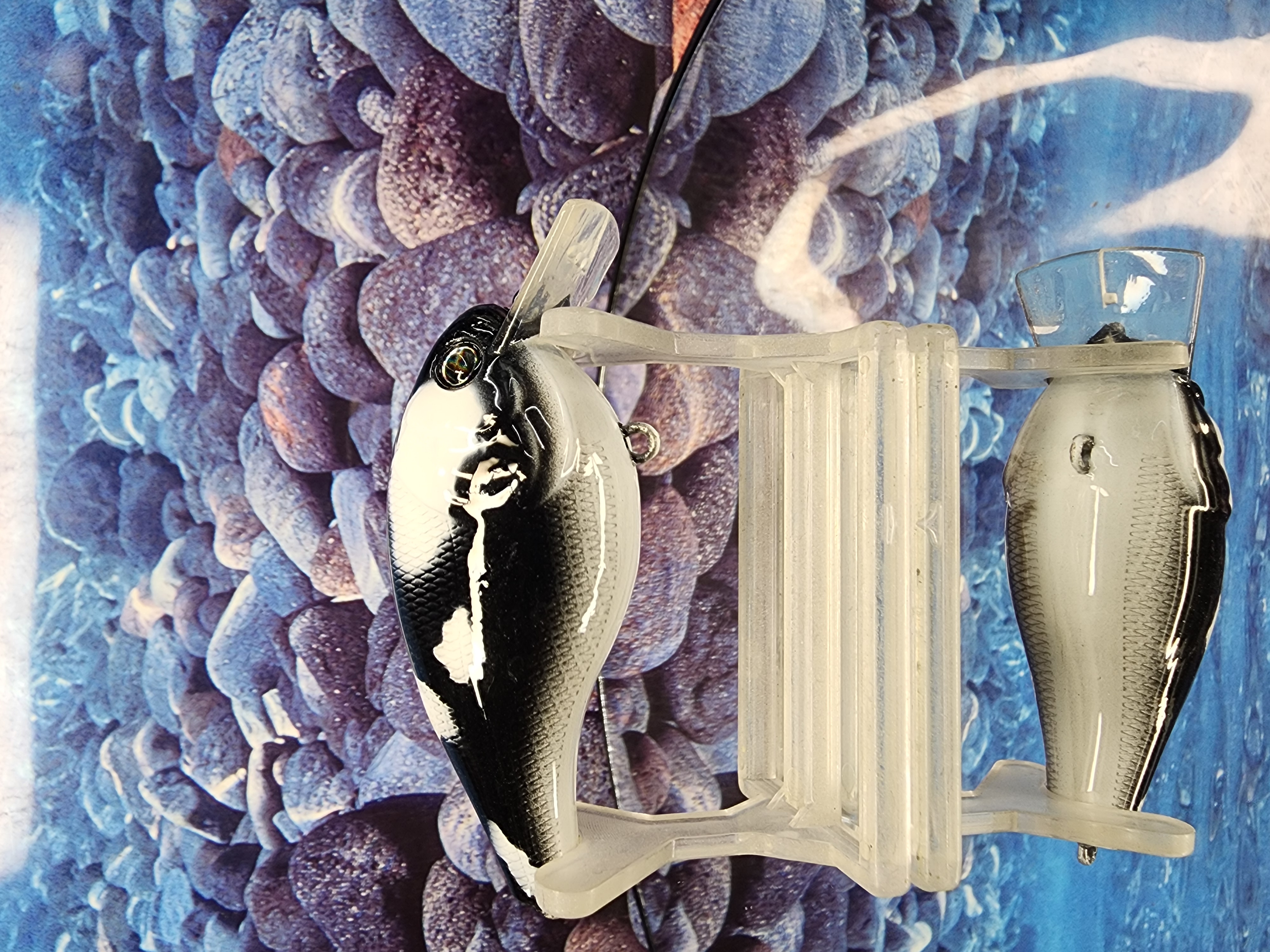 2.5 Killer Whale Crankbait