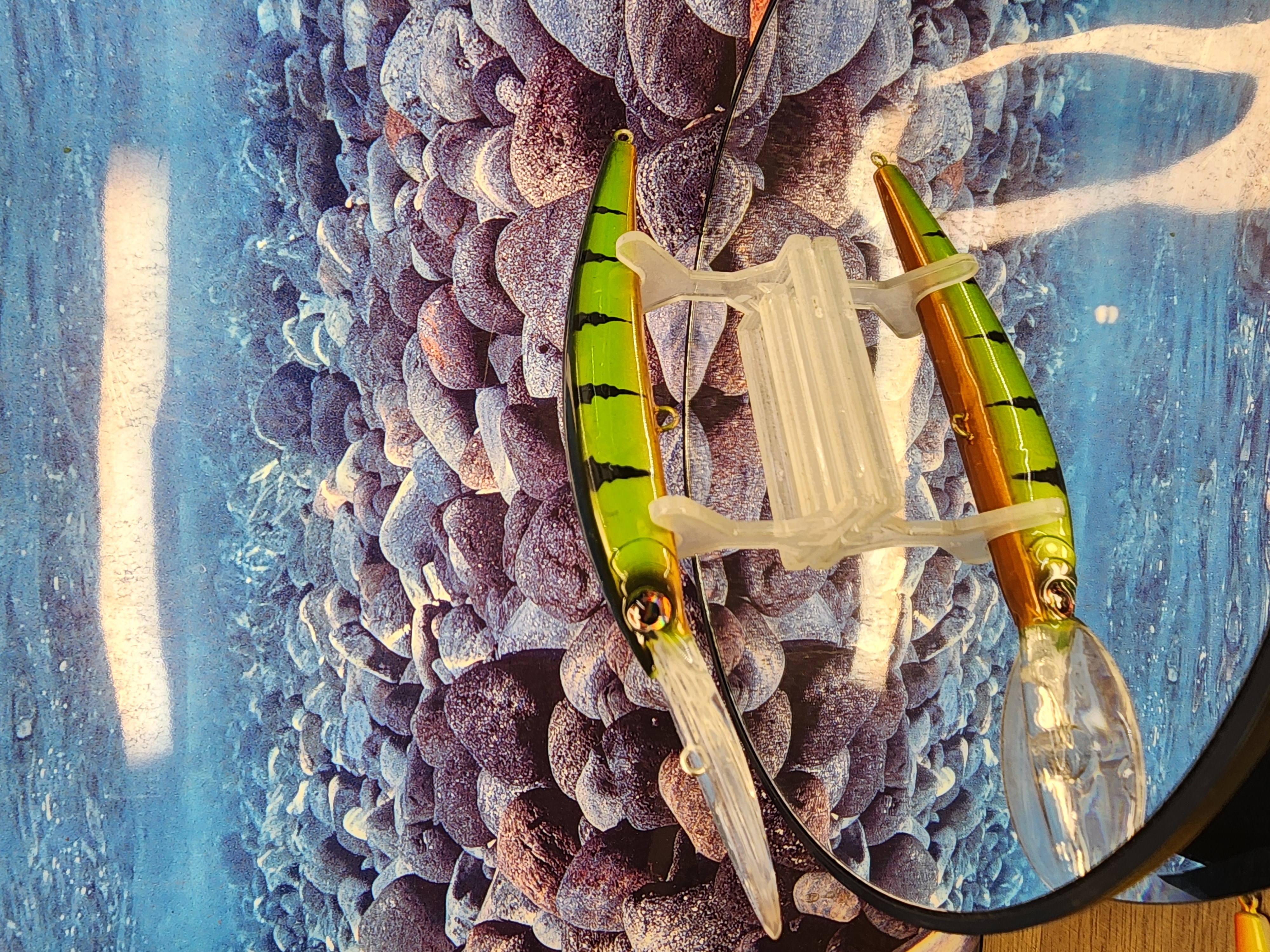 Toxic Vertebrae  Jerkbait