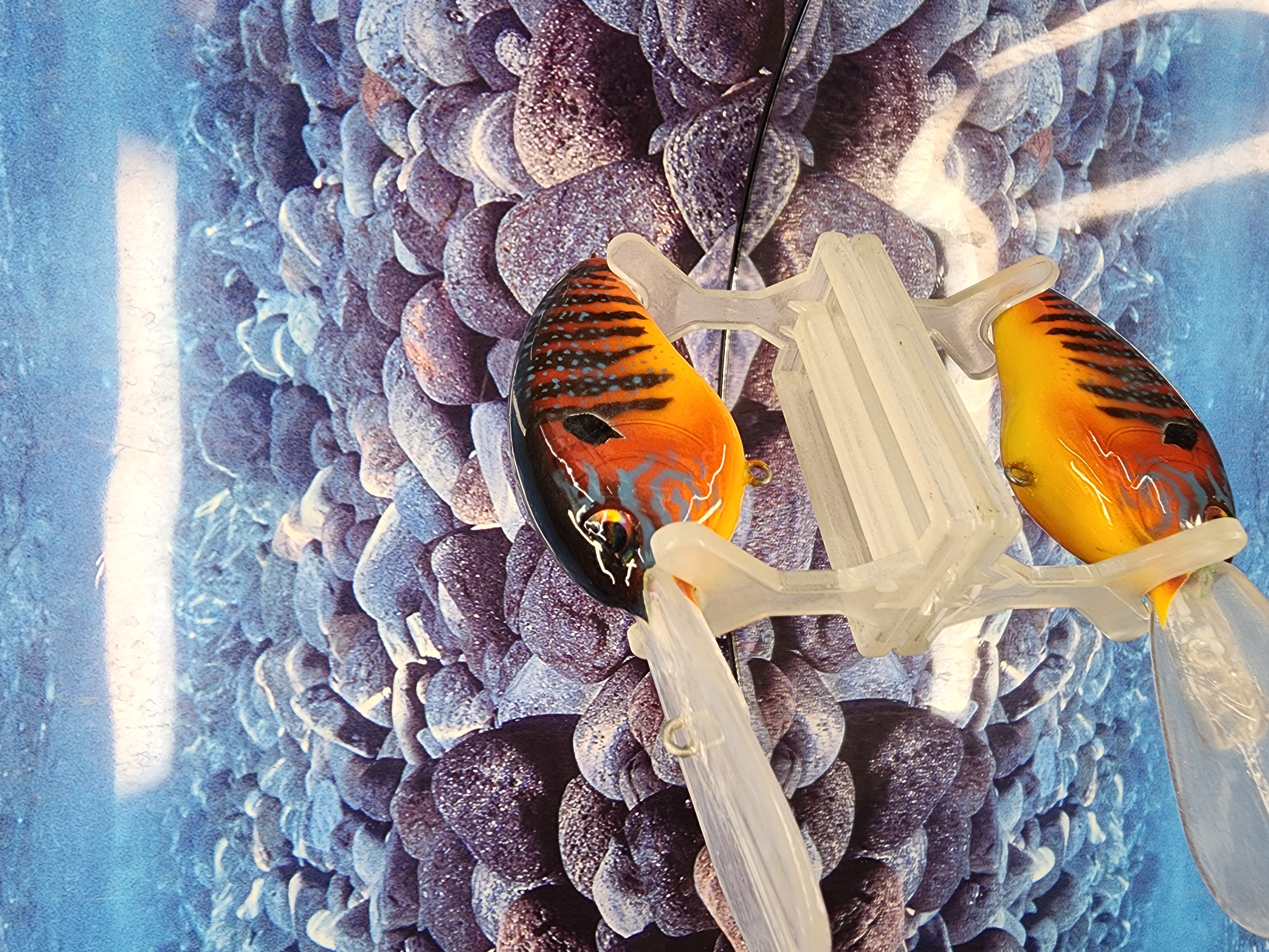 Barfight Bluegill Deep Diving Crankbait 