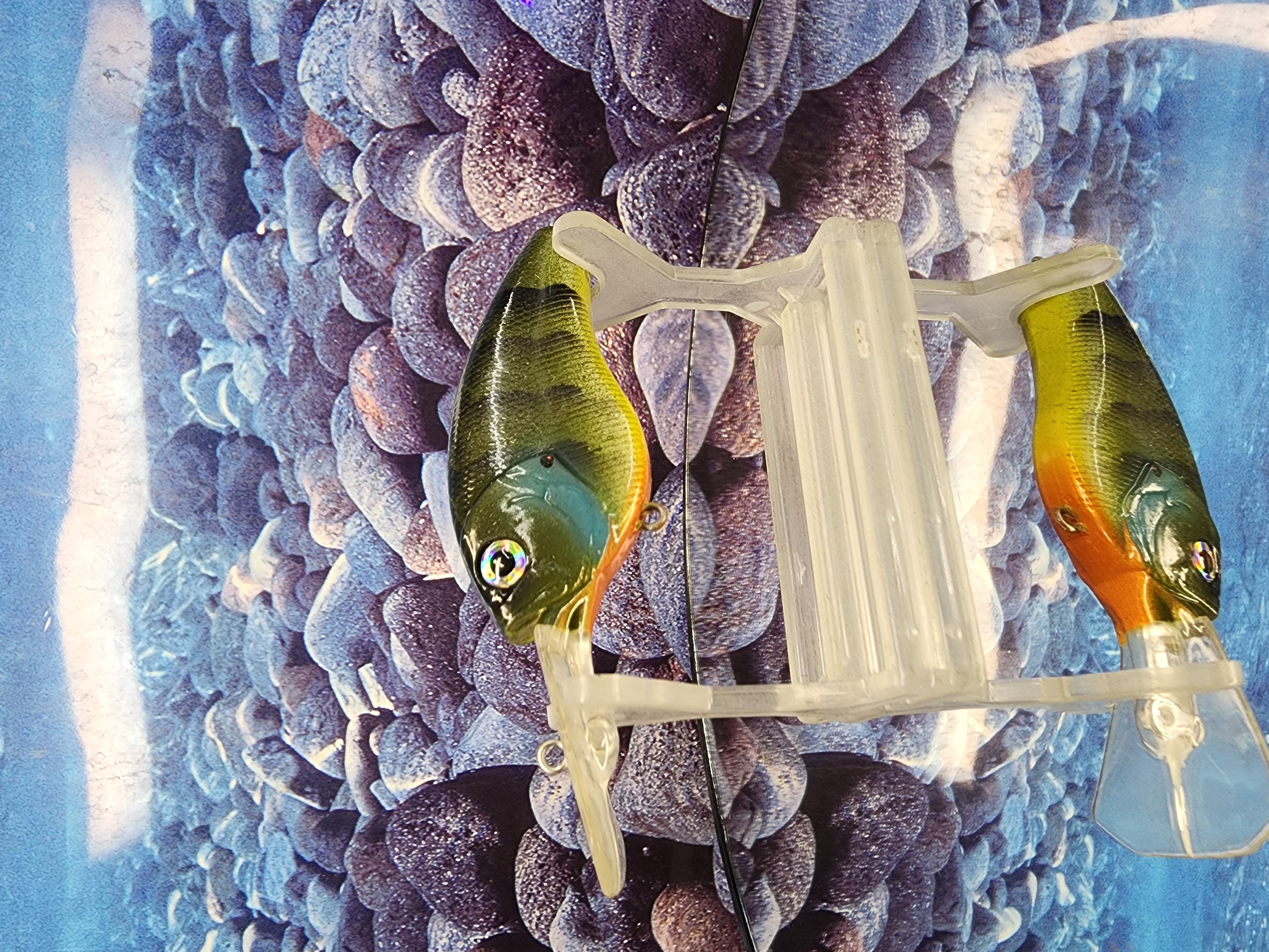 STYX-GRINDER COFFINBILL