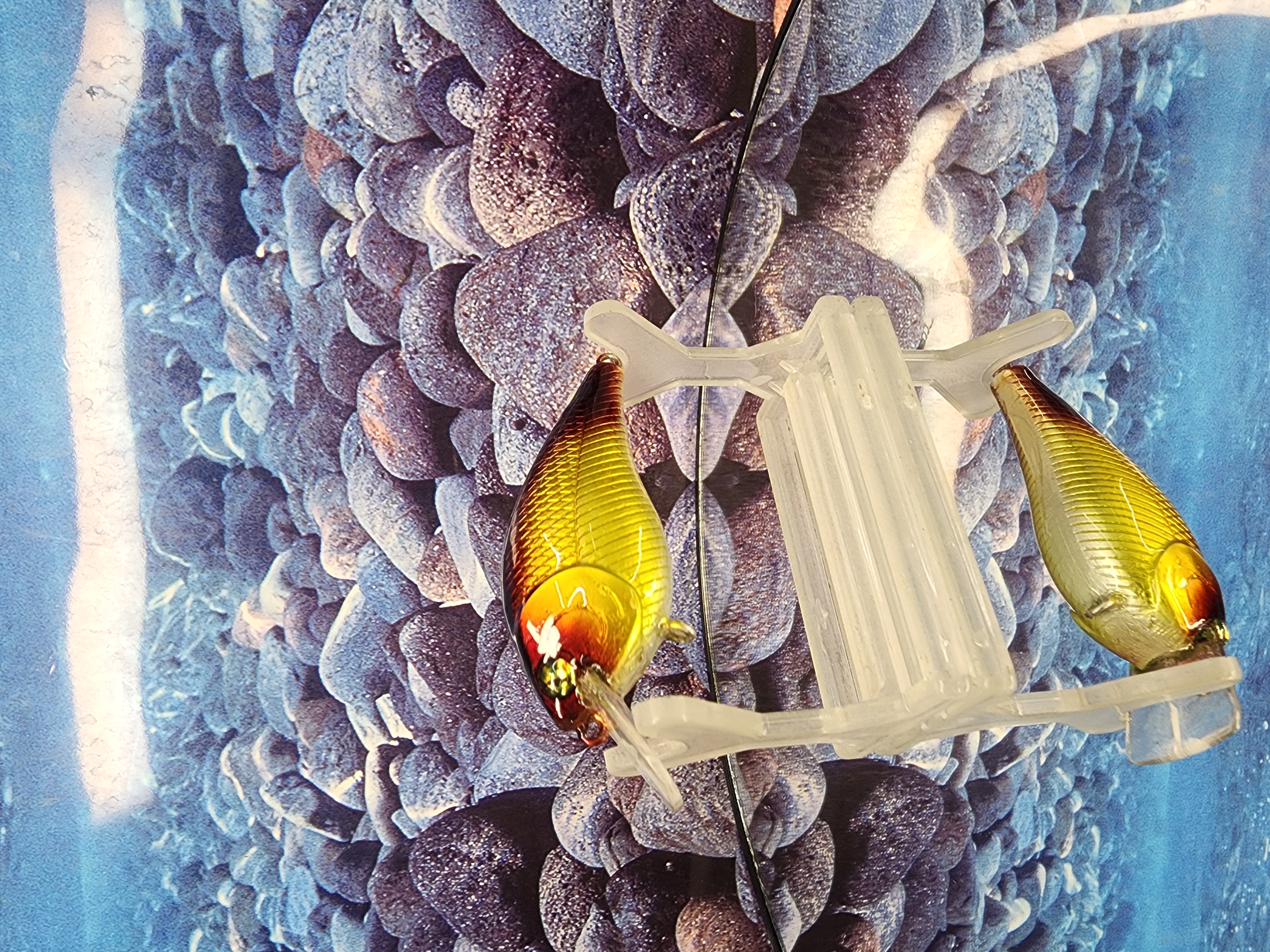 Liquid Sentence 1.25 Crankbait