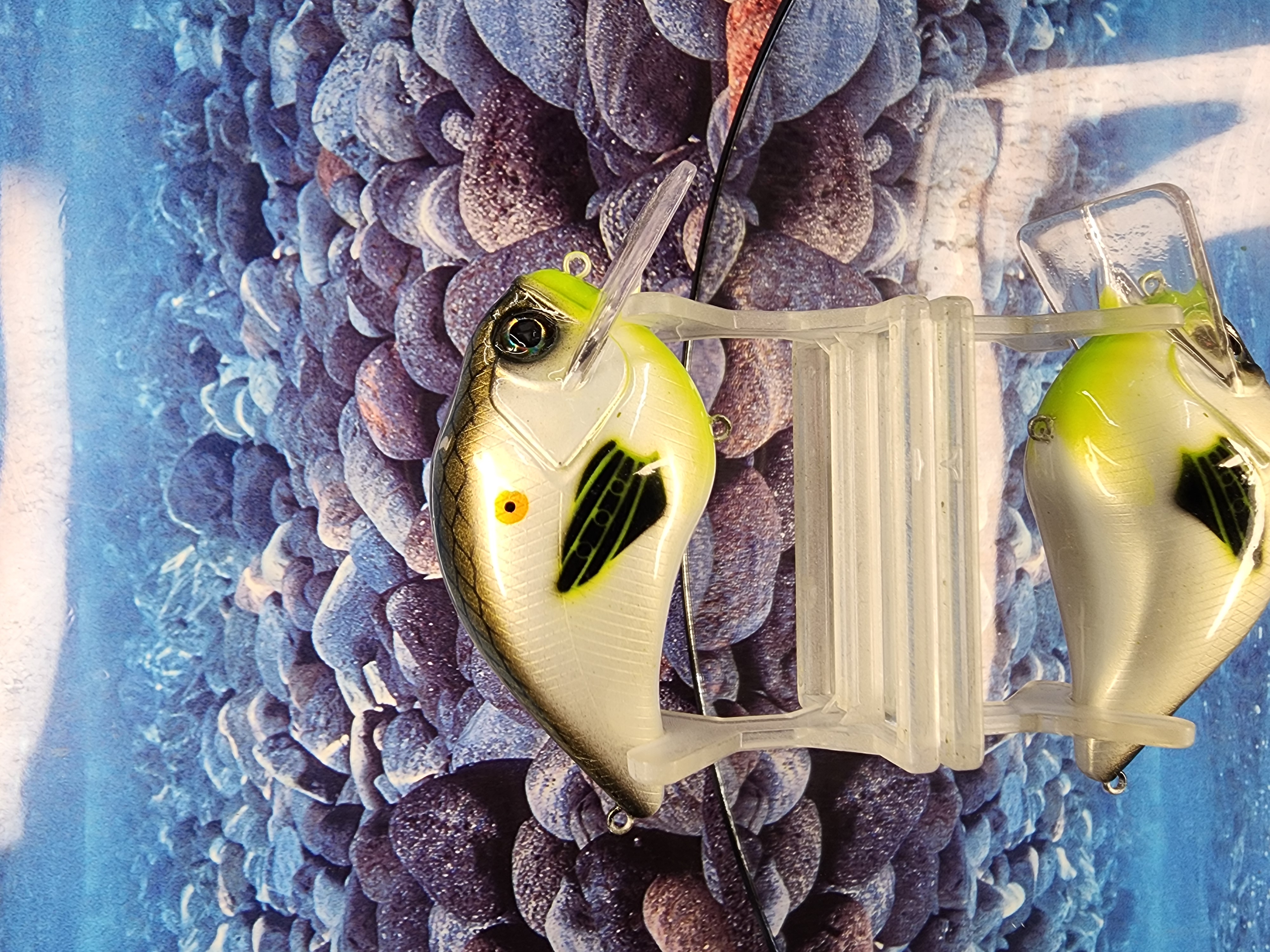 The Bone-Shaker: Gizzard Reaper 3.5 Crank