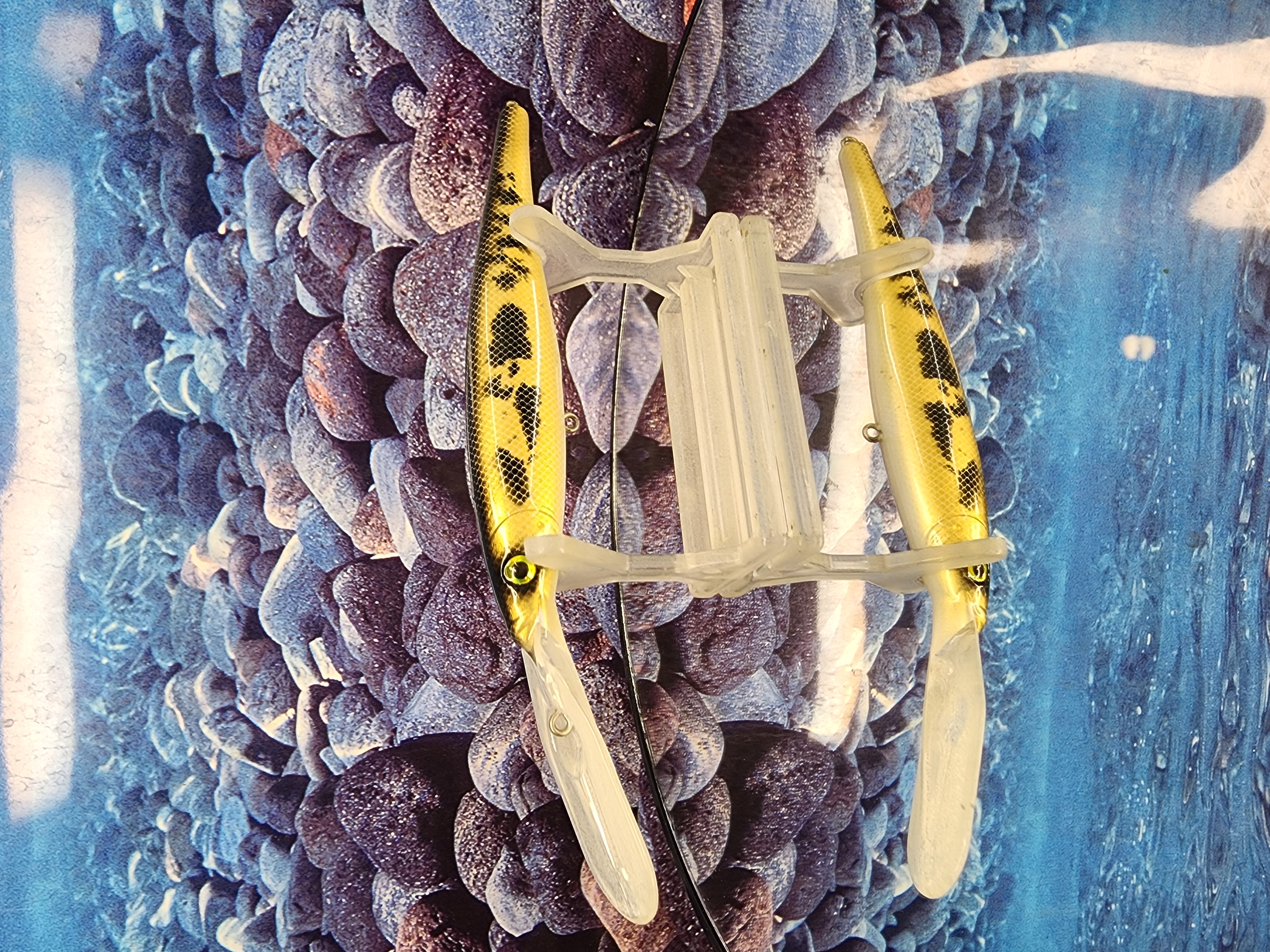 YEllOWJACKET SEDATIVE FLICKER MINNOW