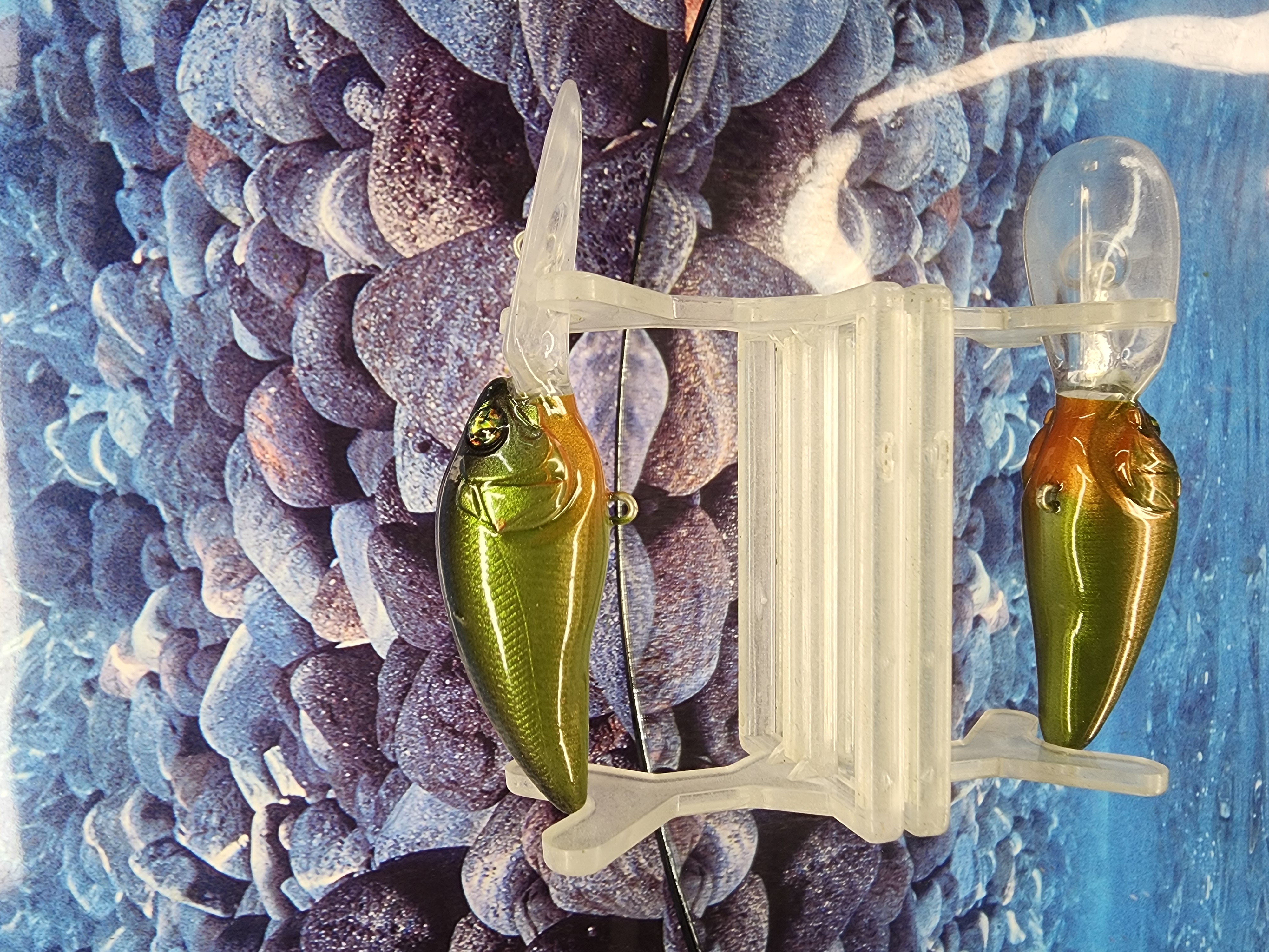 Moss Back Reaper Rambling Wart