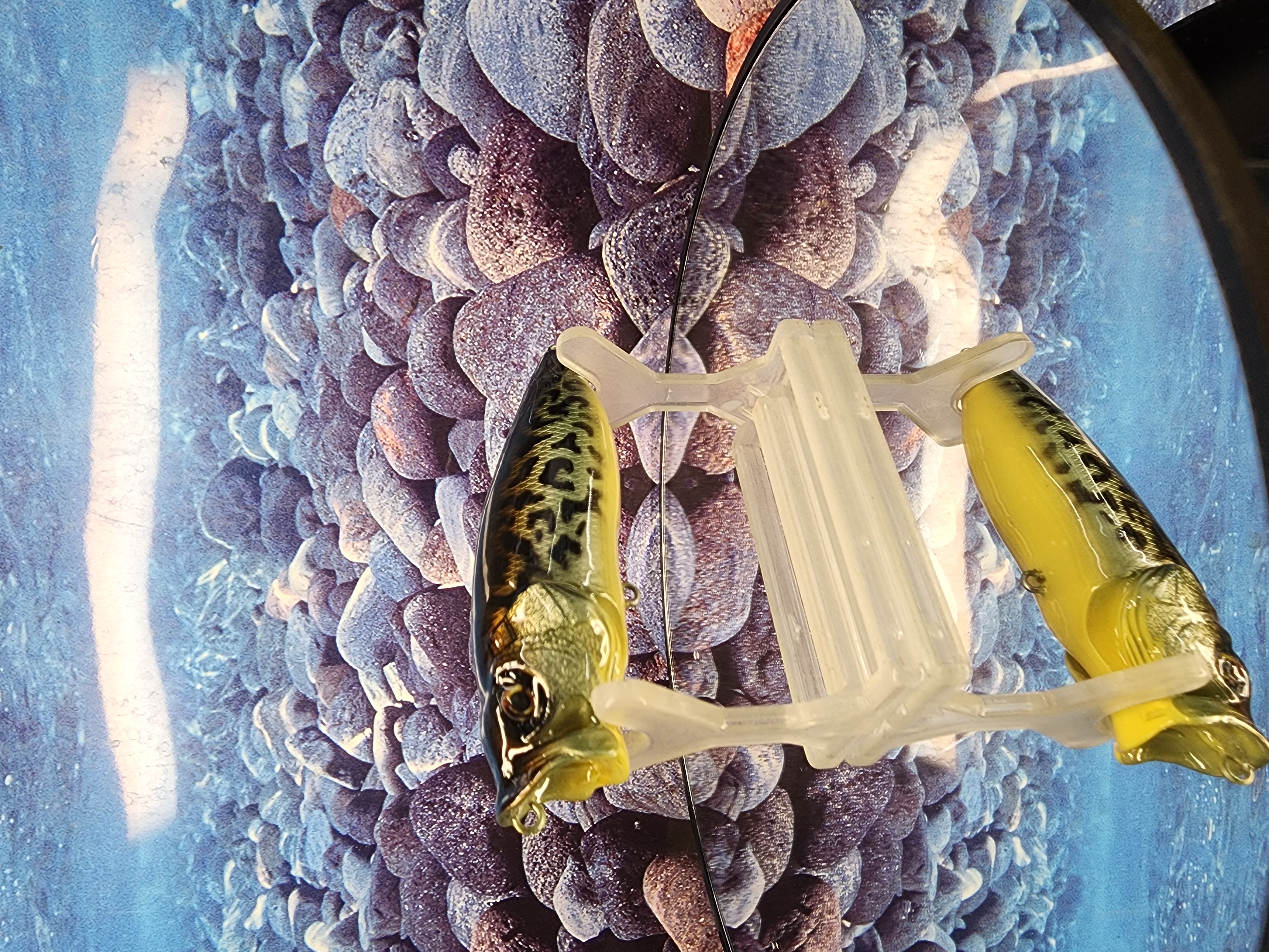 BLACK LABEL HELLHOUND MEGABASS POPPER