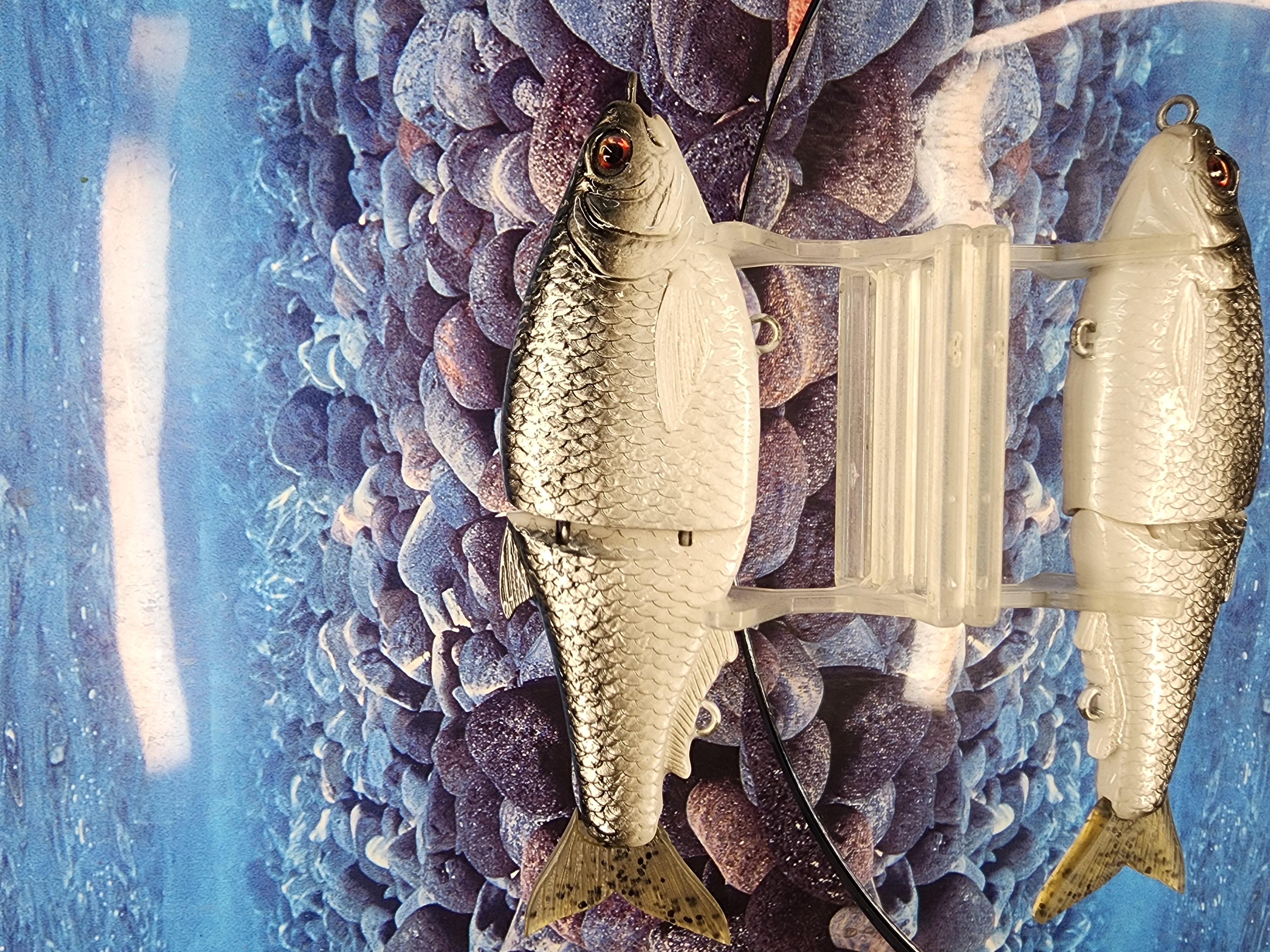 IRON GIZZARD : VANDAL GLIDE