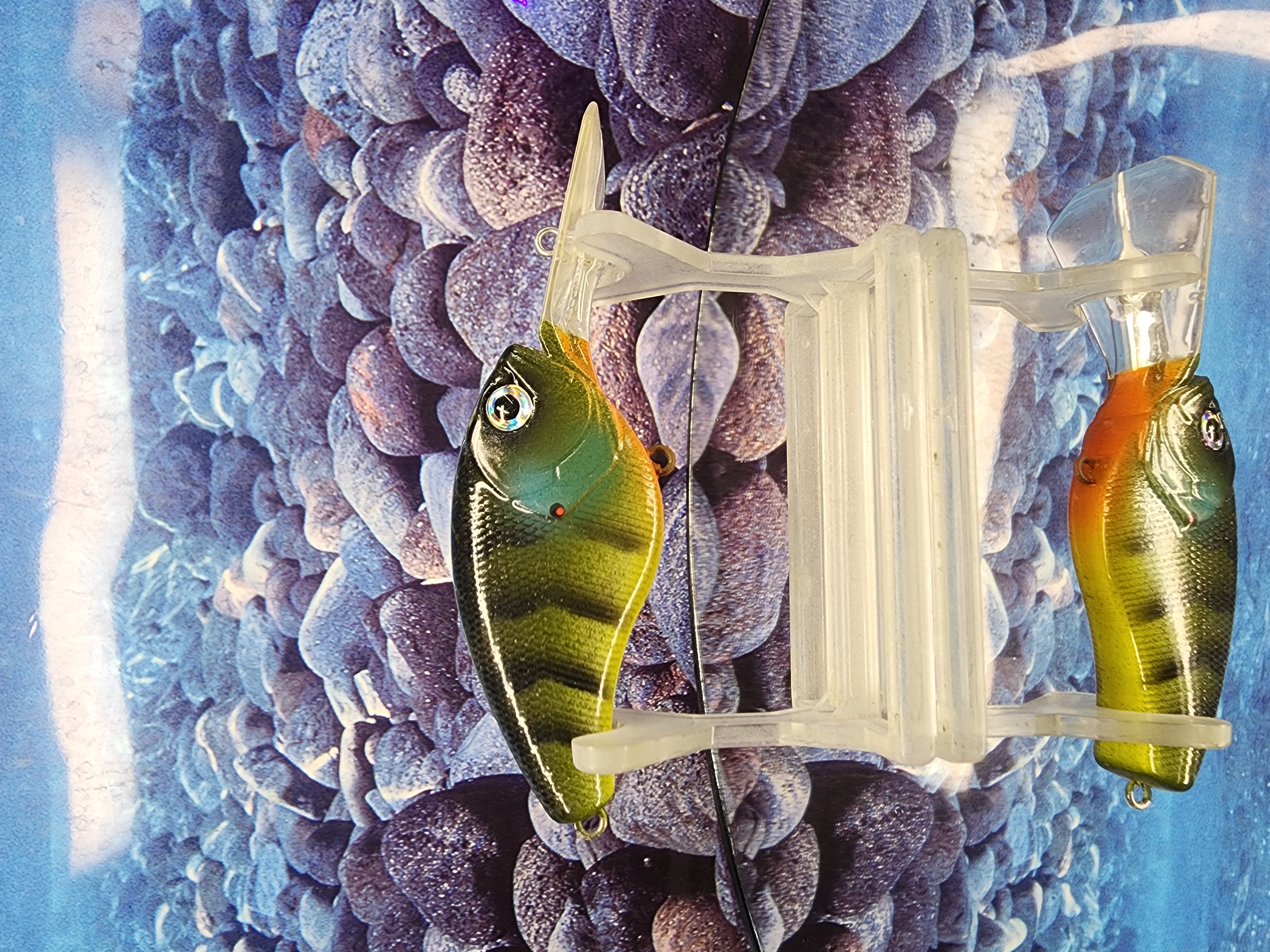 STYX-GRINDER COFFINBILL