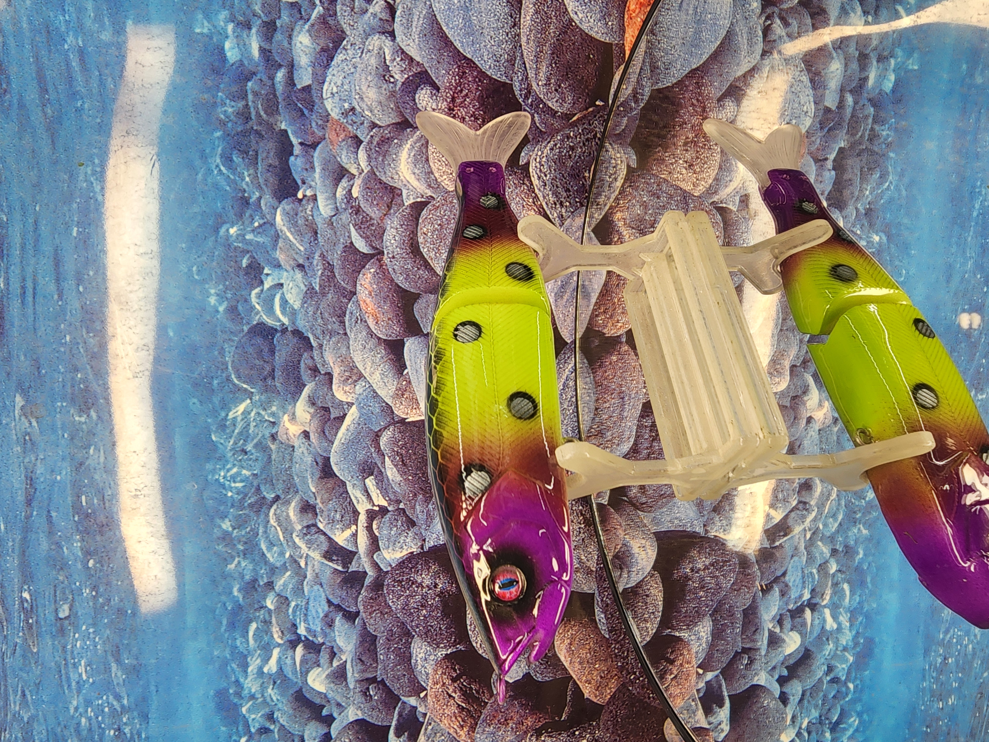 NEON NIGHT TERROR S WAVER