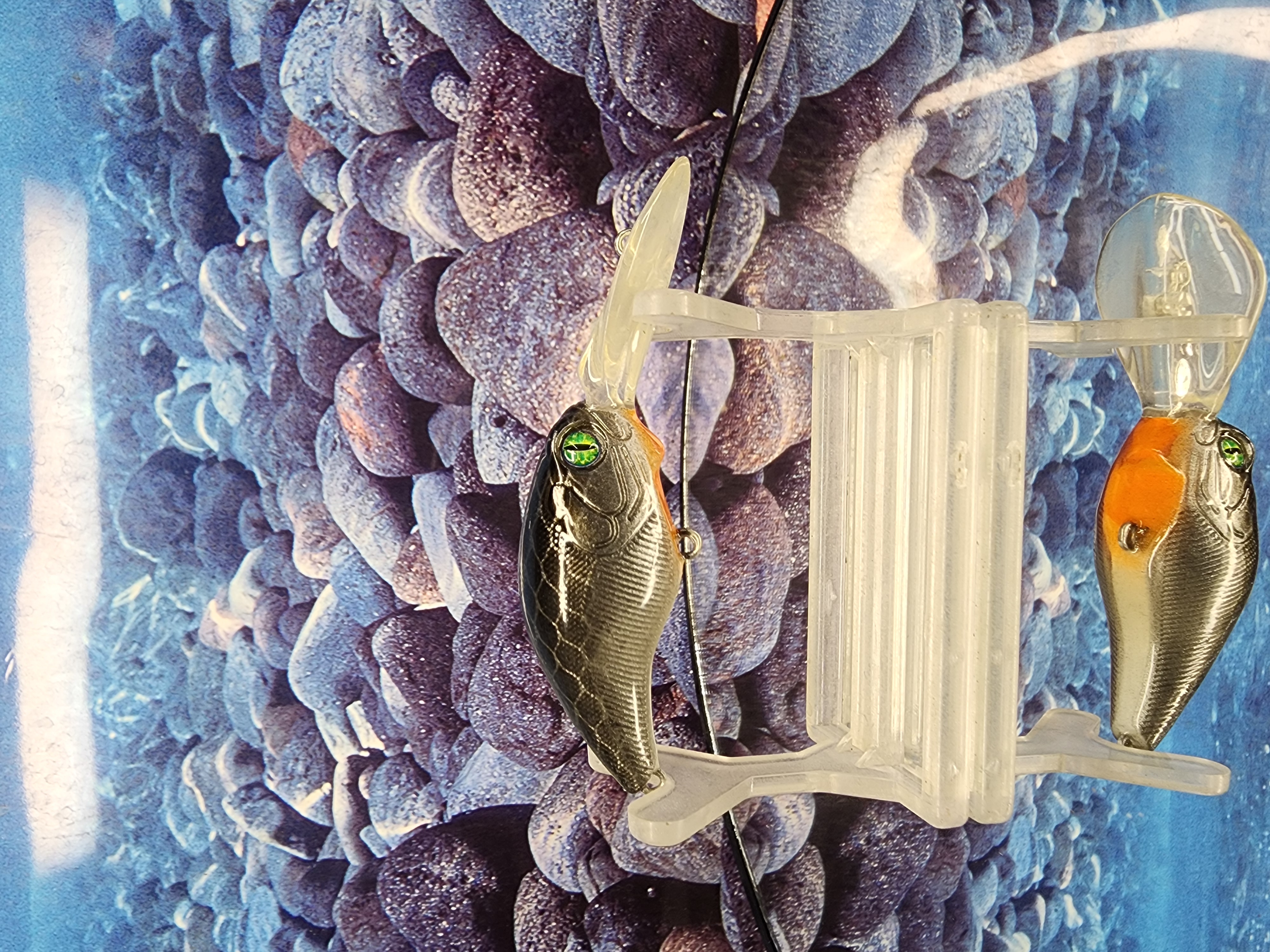 Abassyal Stalker Rambling Wart