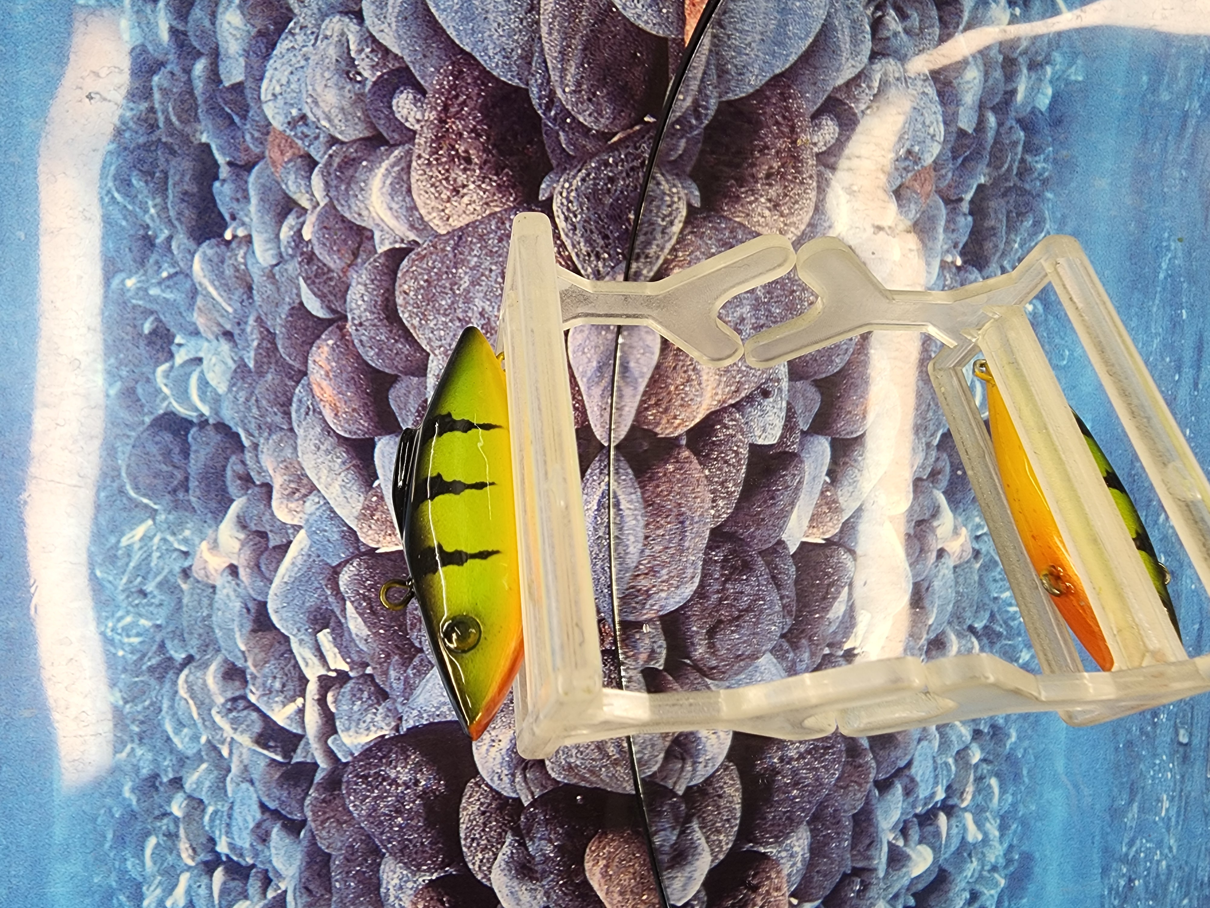 IRON LUNG PERCH RAT-L-TRAP