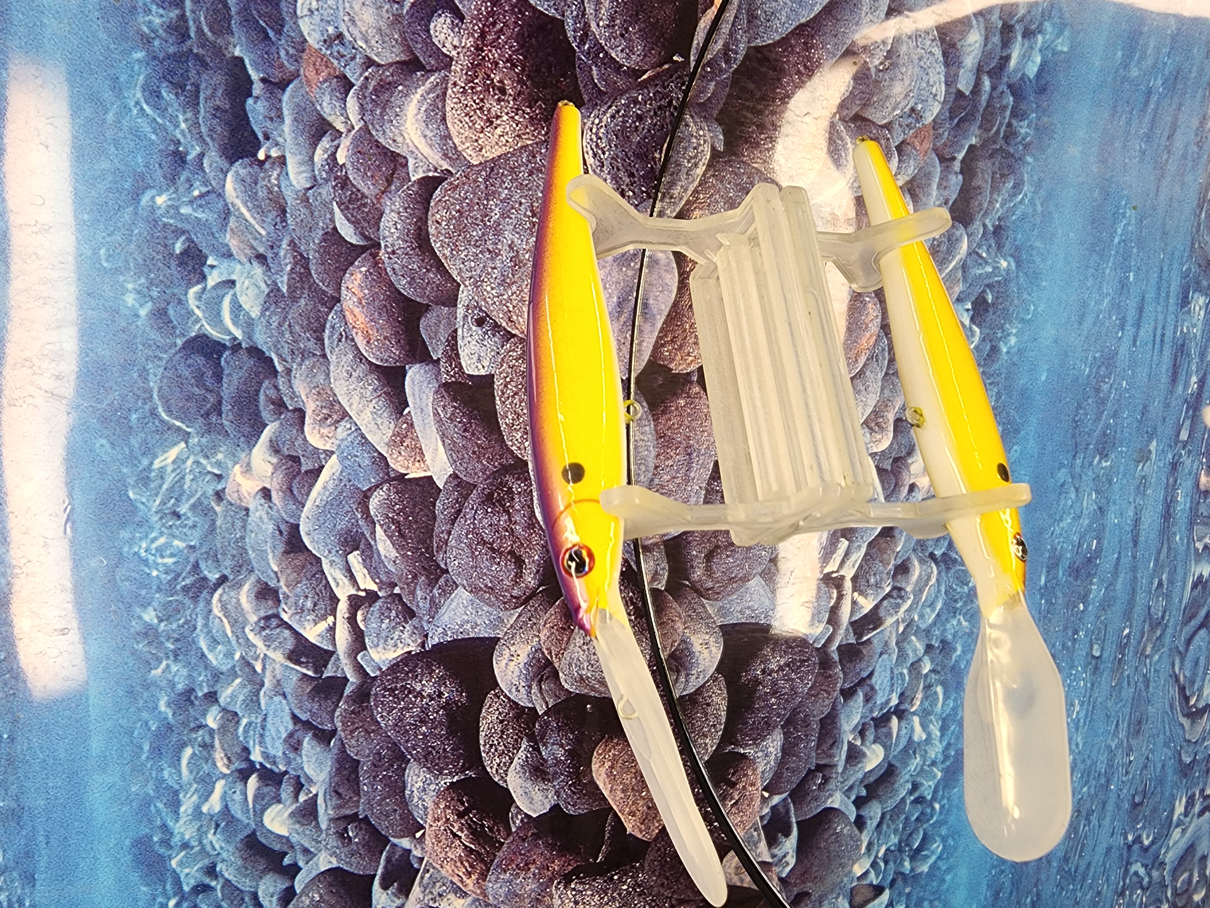 Bile-Runner Flicker Minnow