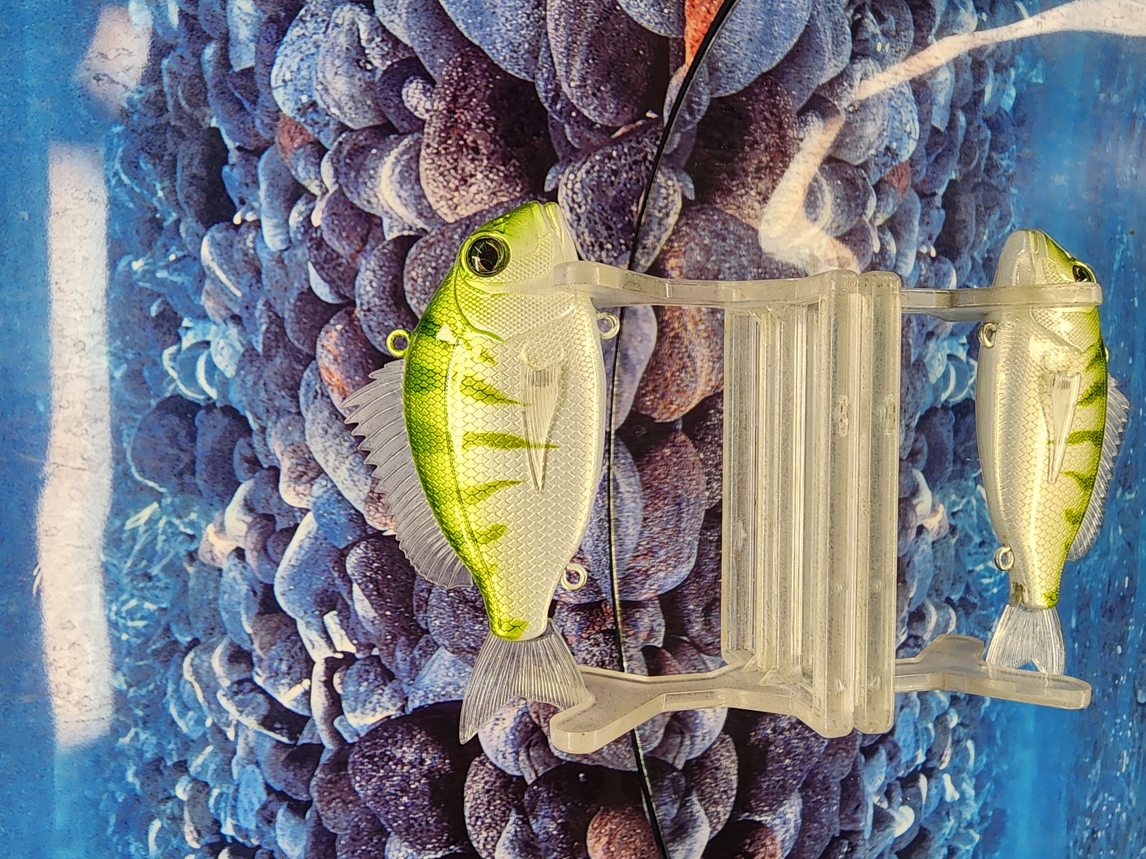 Stray Bullet Lipless