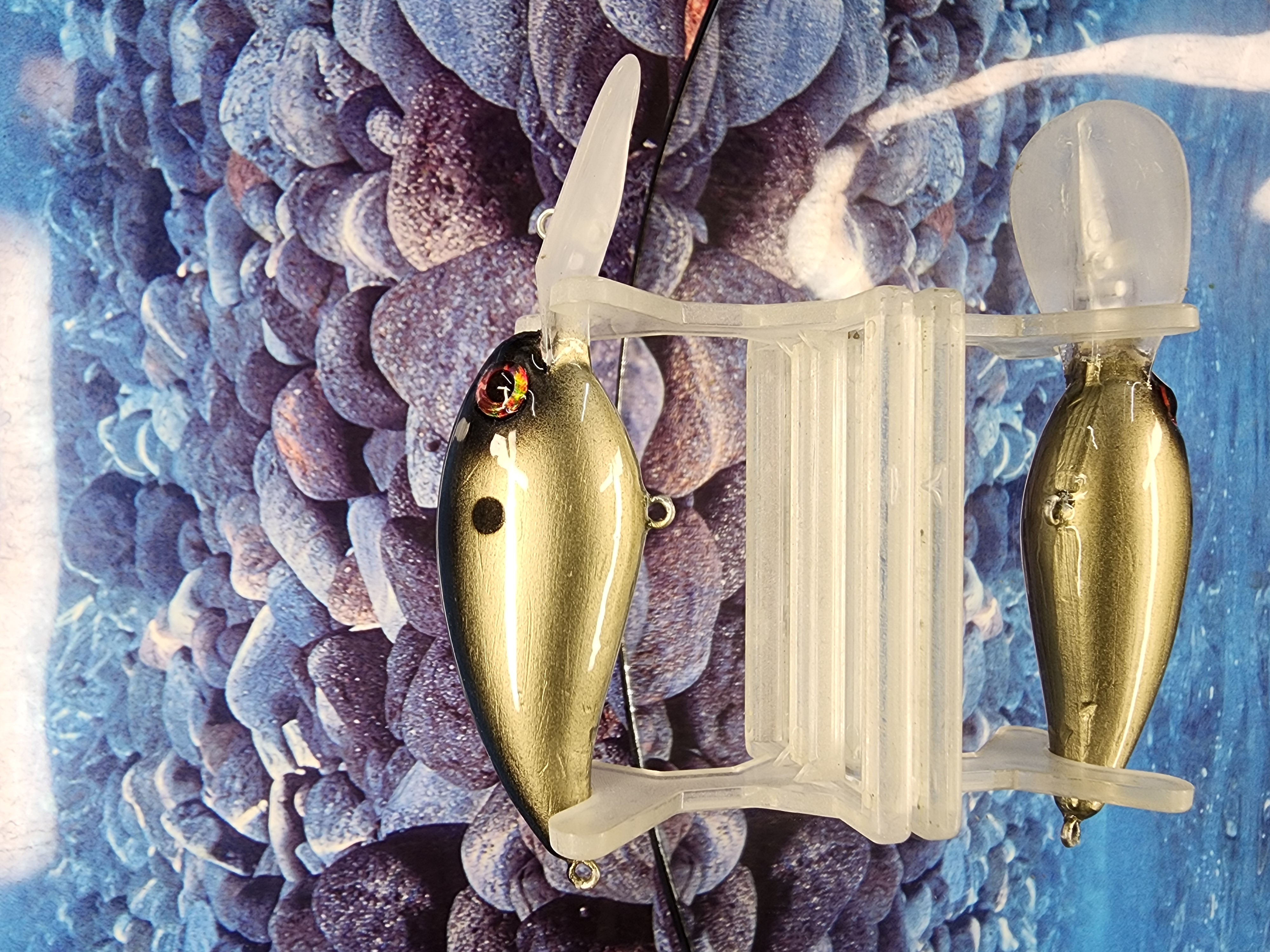 Silent Dirge Deep Diver