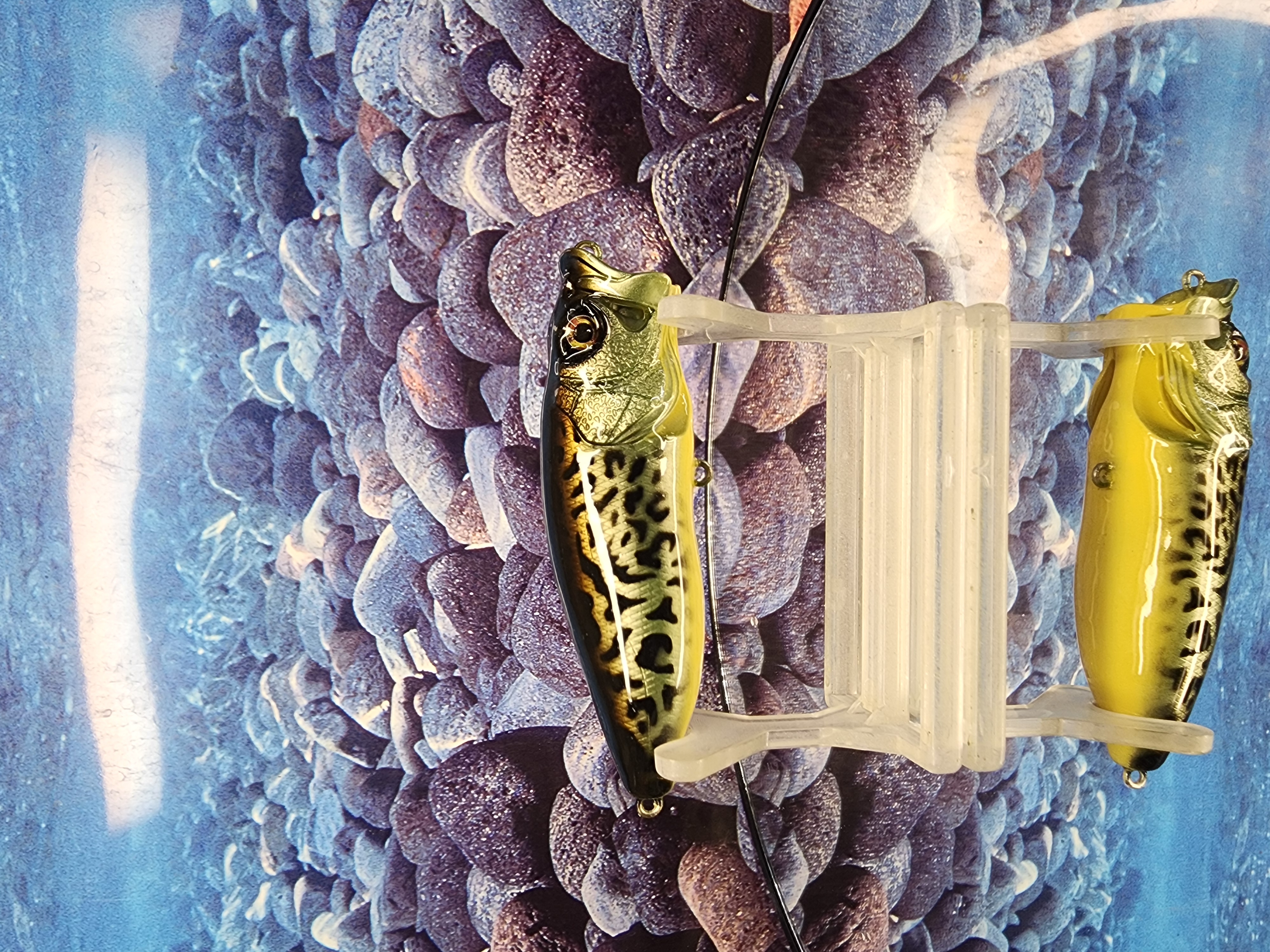 BLACK LABEL HELLHOUND MEGABASS POPPER