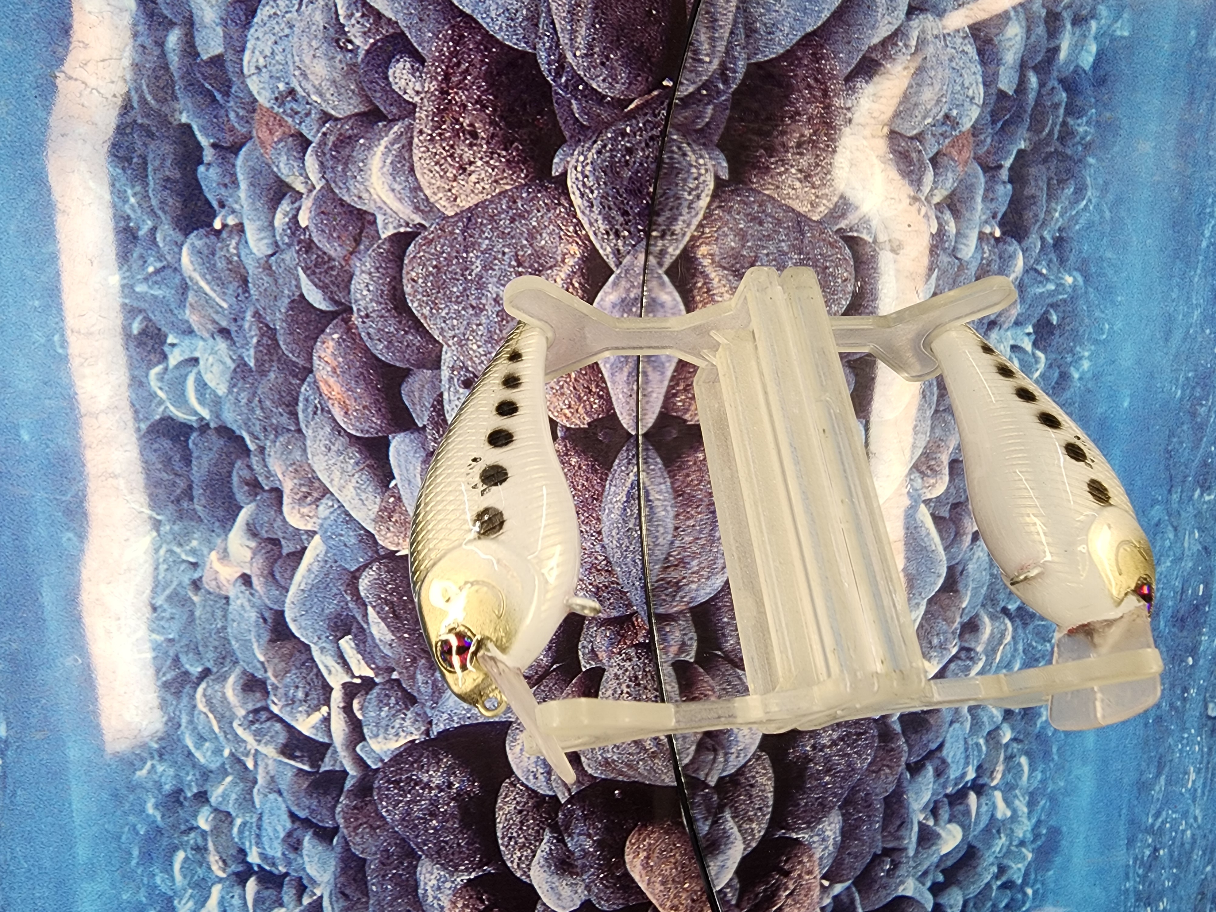 The Gallows Shadow 1.25 Crankbait