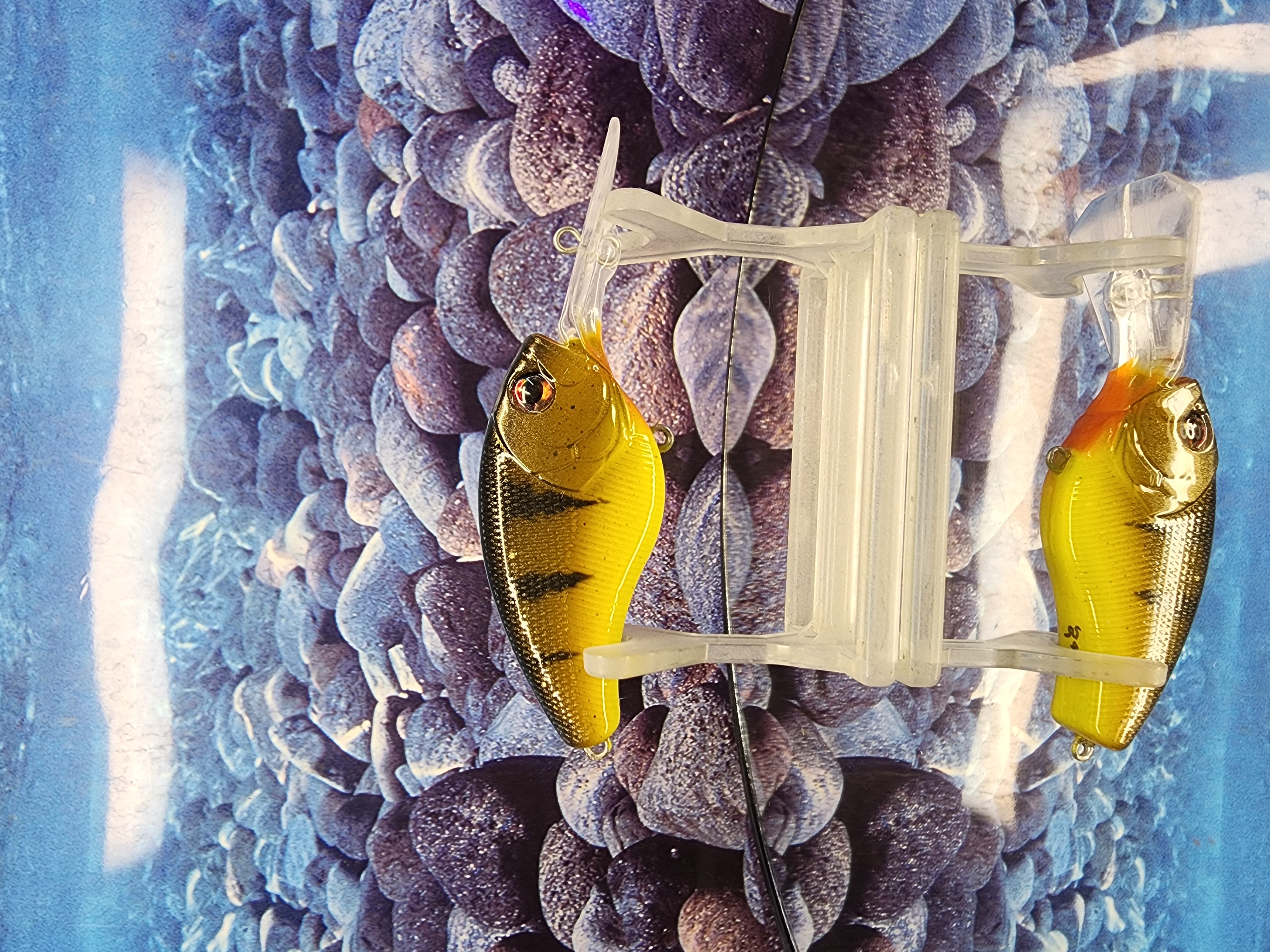 IRONSIDE PERCH COFFINBILL