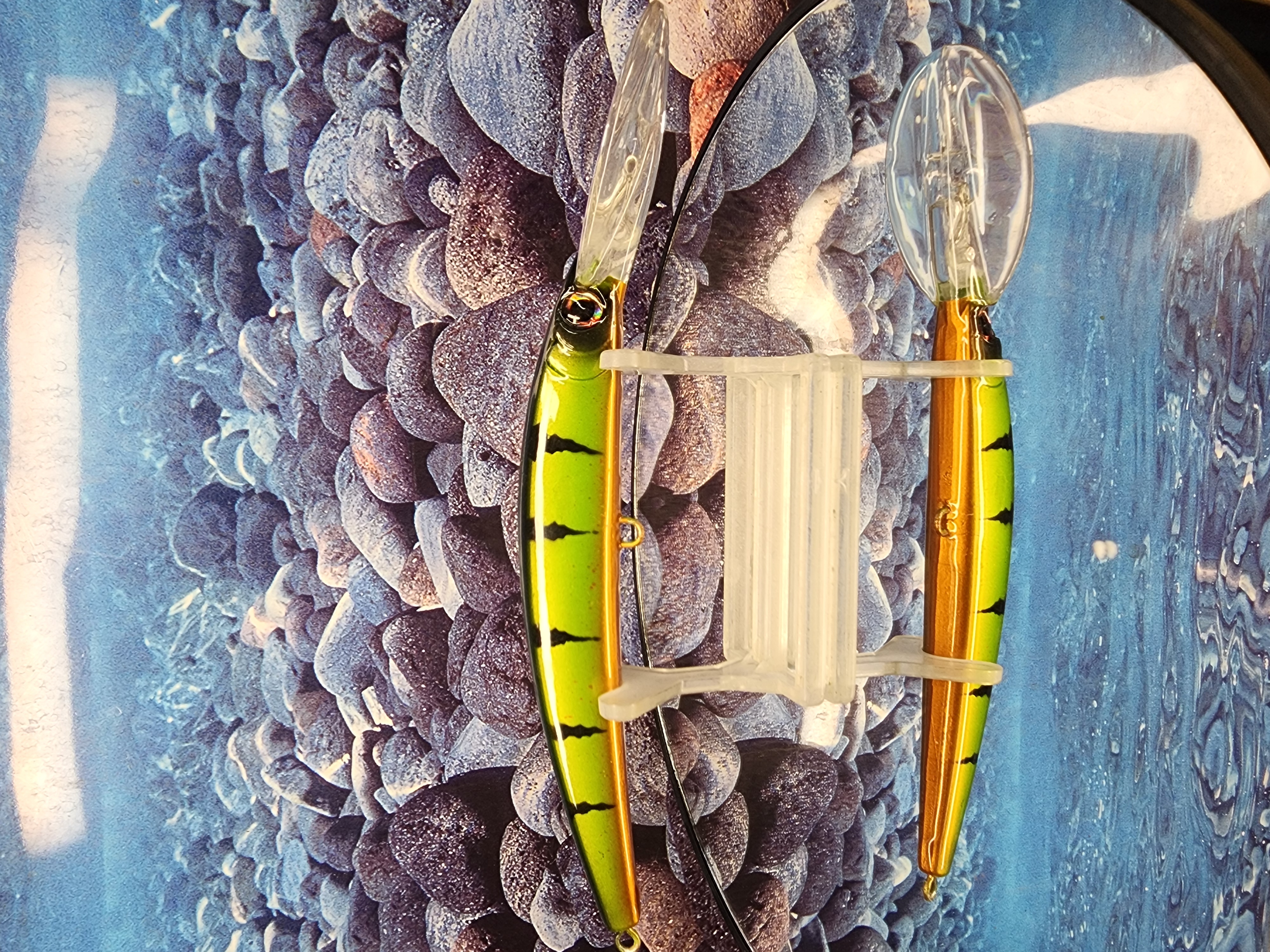 Toxic Vertebrae  Jerkbait