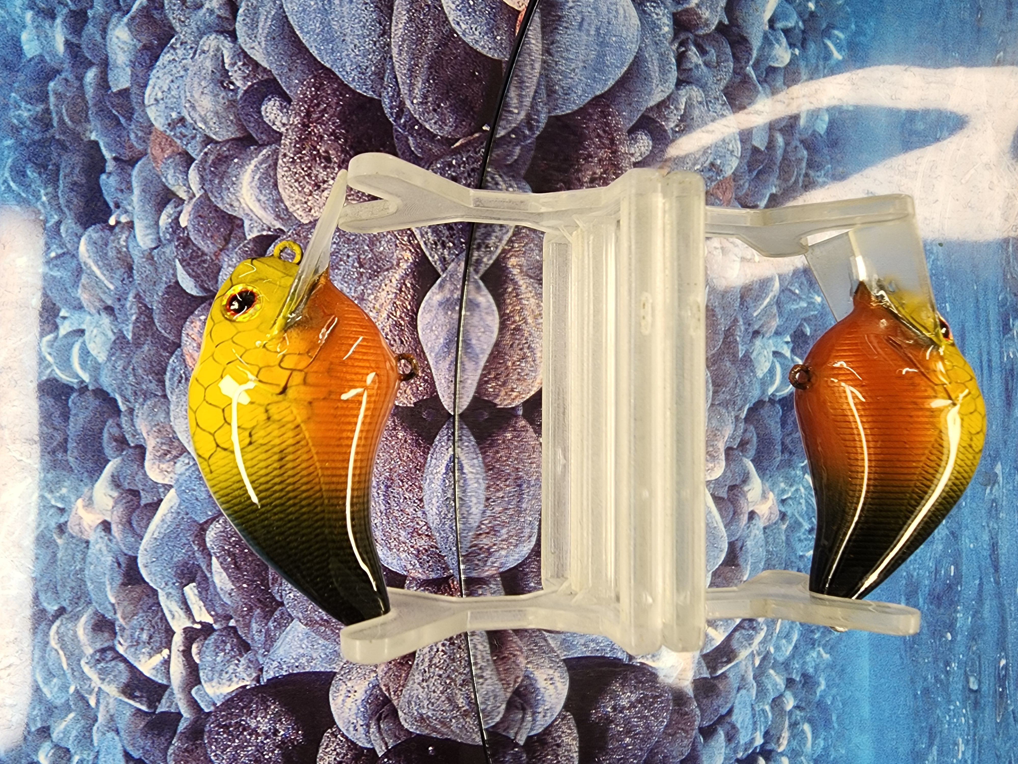 Scaled Citrus Shad S Crank